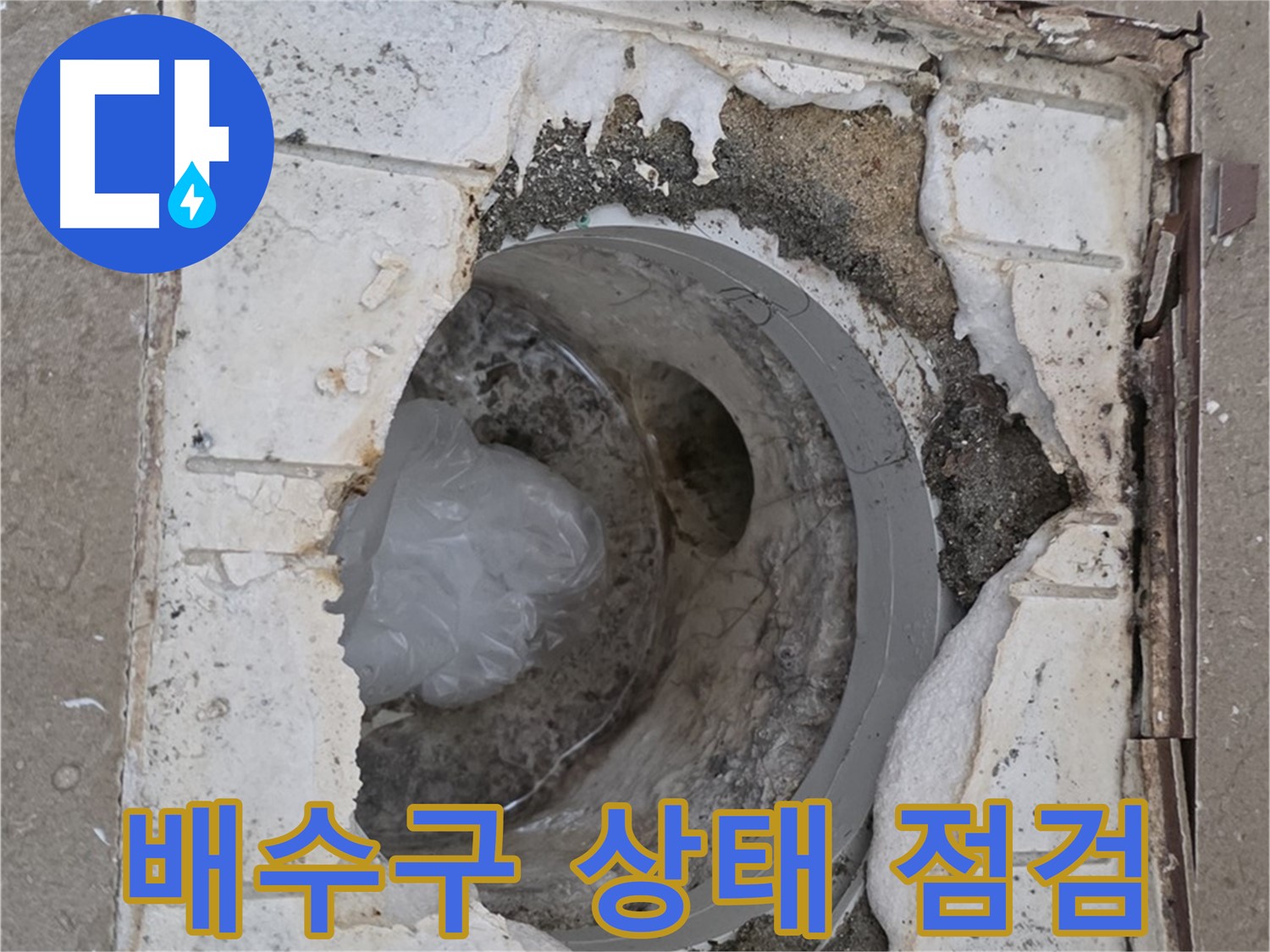 포천 일동 아파트 - 욕실 배수구 상태 꼼꼼 점검