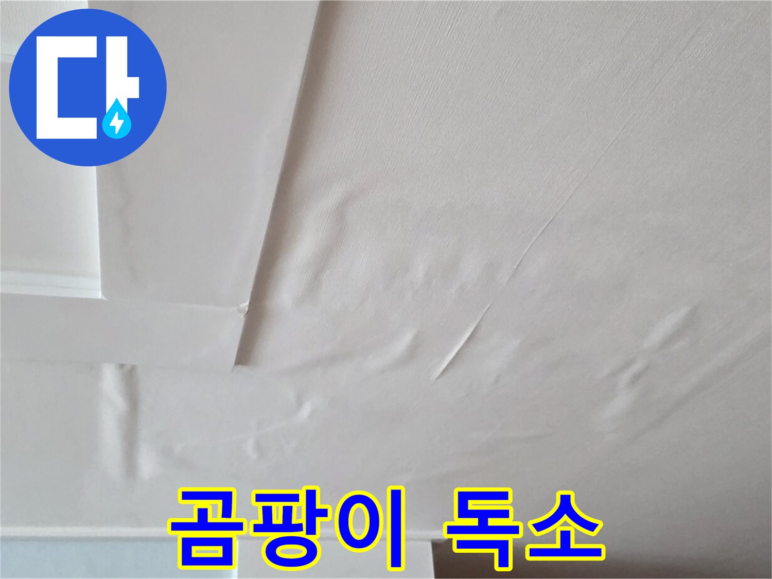 포천 일동 아파트 천장 누수 - 곰팡이 독소 - 만성 피로 - 활력 저하