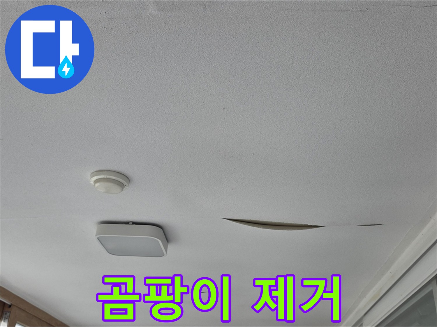 포천 일동 아파트 천장 누수 - 곰팡이 석고보드 제거 및 완벽 교체