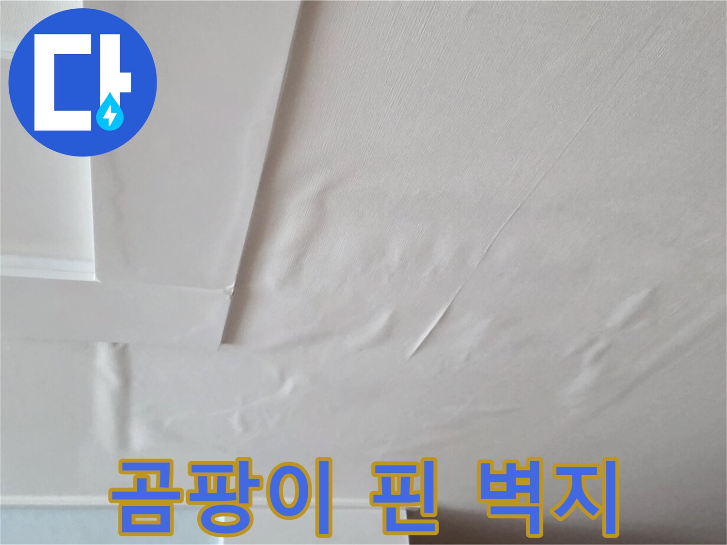 포천 일동 천장 누수 - 곰팡이 꽃 핀 벽지 상세 촬영