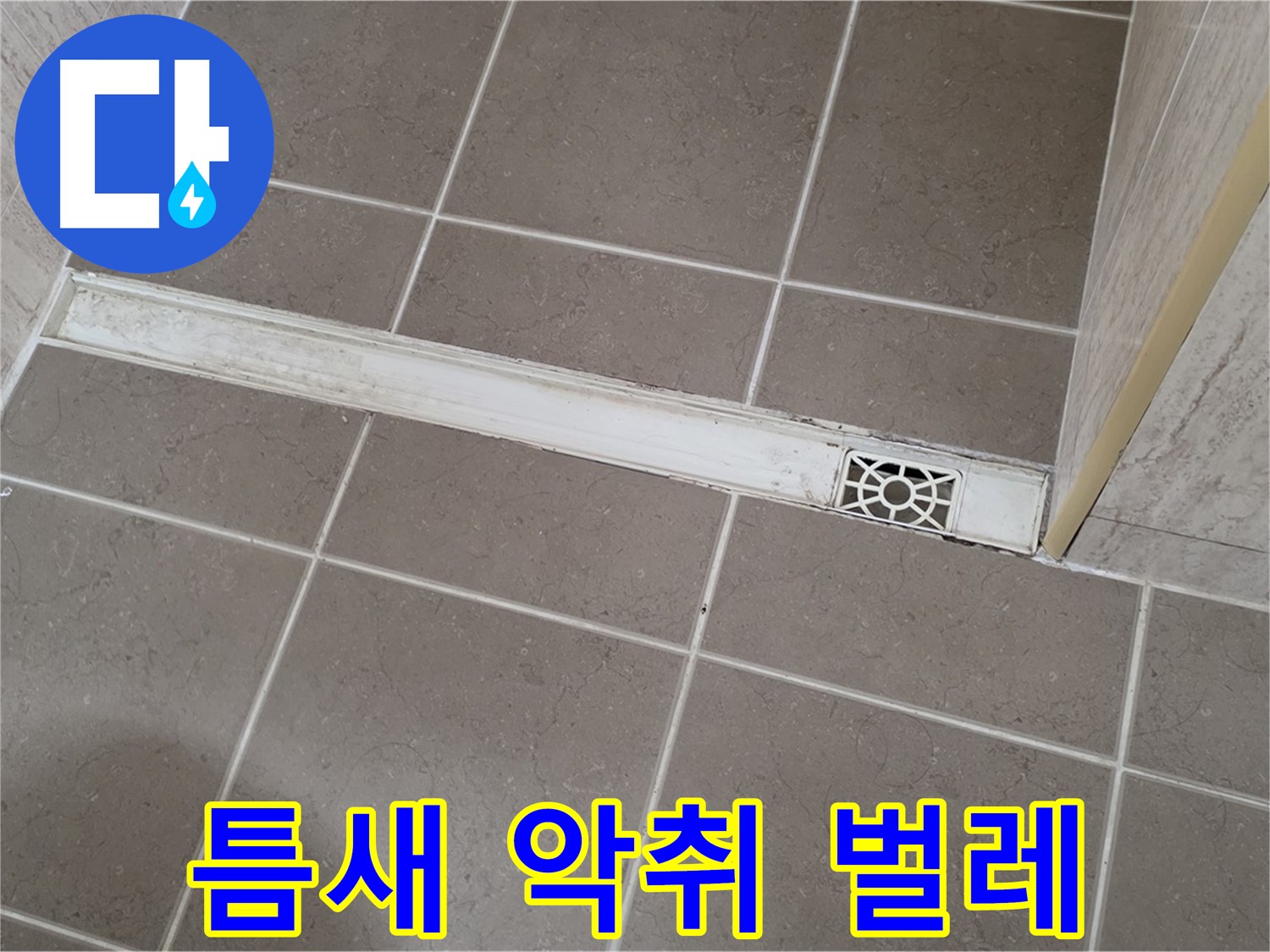 포천 일동면 기산리 욕실 - 트렌치 덮개 틈새 벌어짐으로 인한 악취 및 벌레 유입