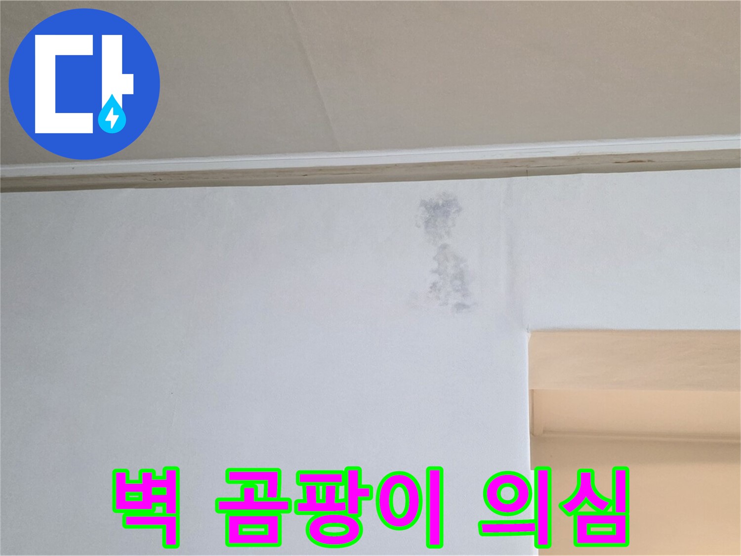 벽에 핀 곰팡이 - 누수 의심 징후