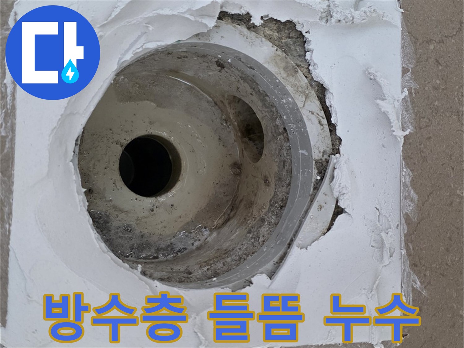 포천 일동면 아파트 - 배수구 주변 방수층 들뜸과 균열로 인한 누수 발생