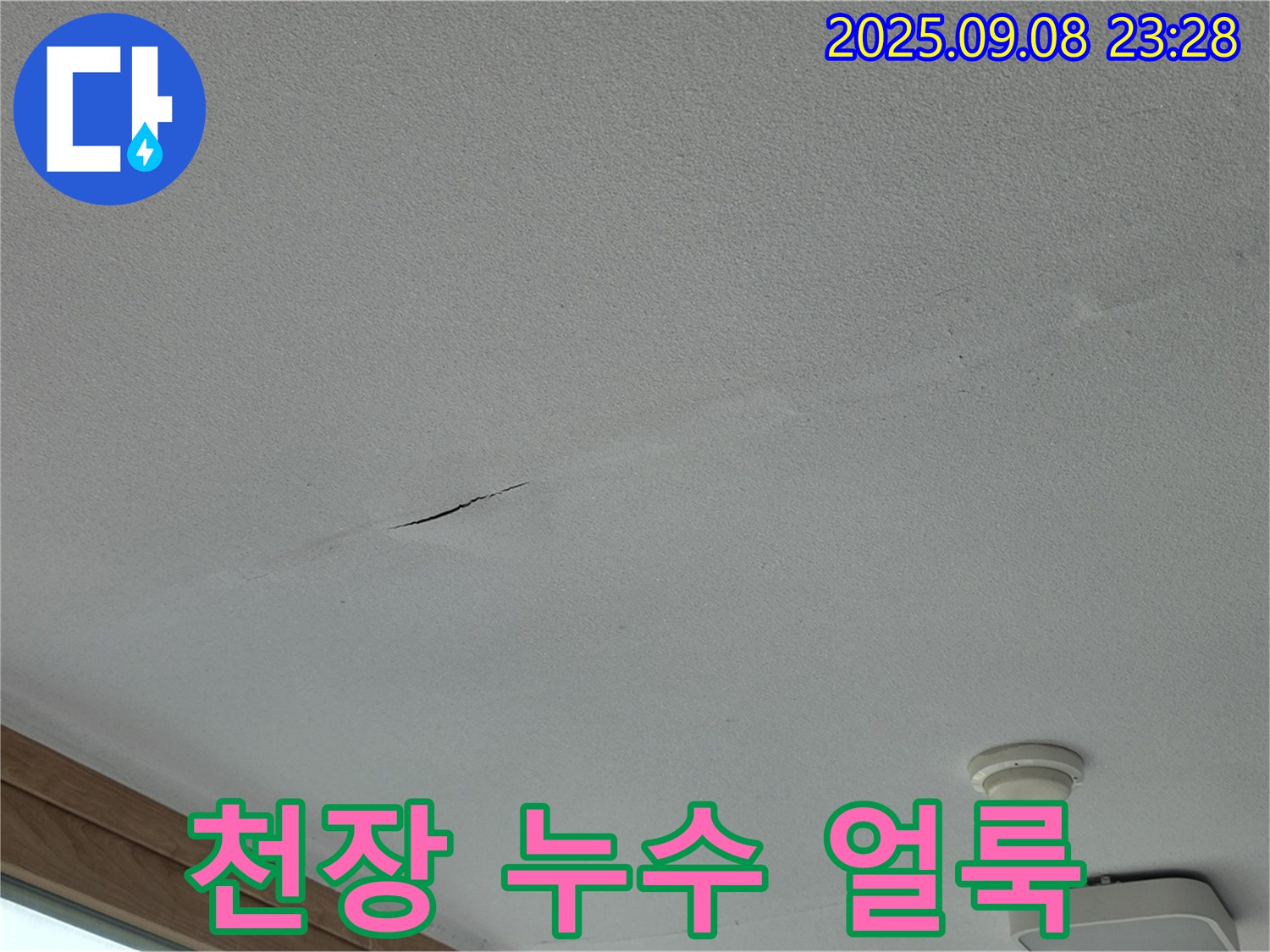 포천 일동면 아파트 천장 누수 얼룩 - 누수 탐지 및 신속한 보수 작업 진행