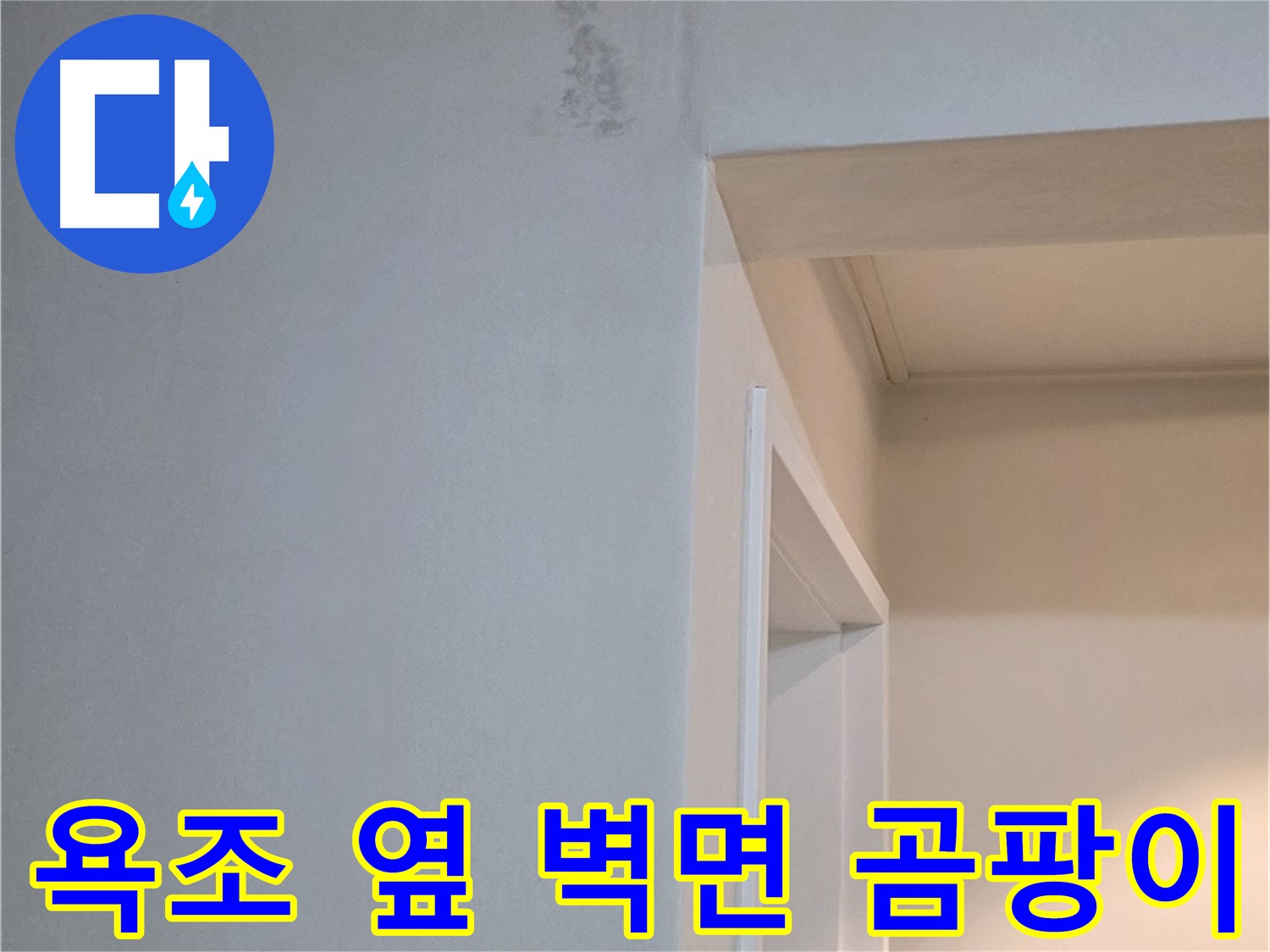 포천시 일동면 기산리 아파트 욕조 옆 벽면 곰팡이 - 누수 걱정 해결