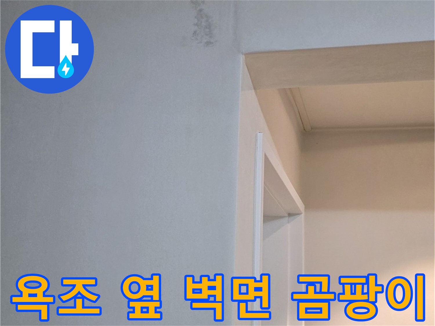포천시 일동면 기산베스트빌 아파트 욕조 옆 벽면 곰팡이 - 곰팡이 완전 정복