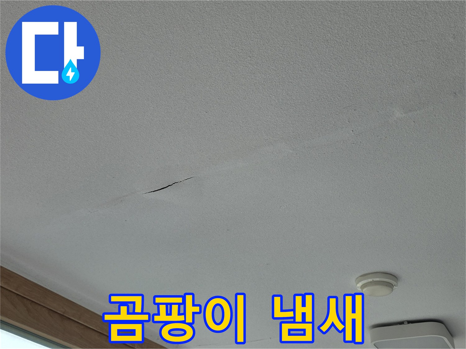 포천시 일동면 아파트 - 불쾌한 곰팡이 냄새