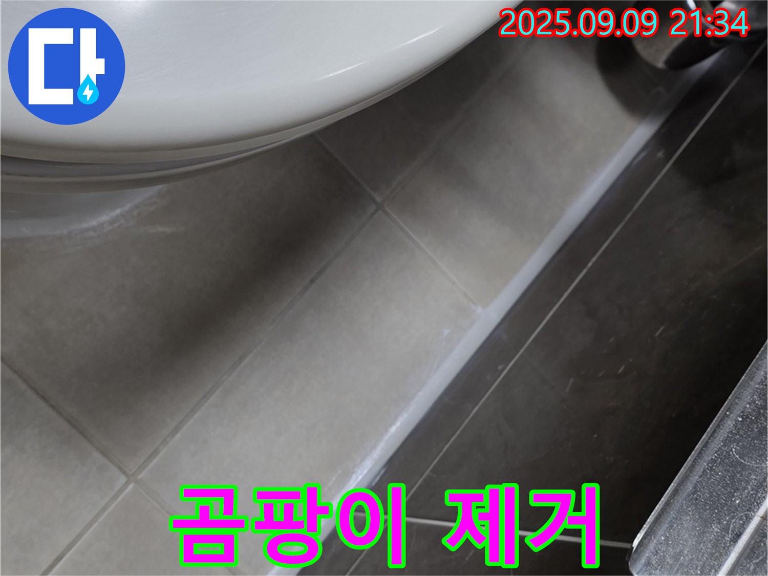 양주 옥정 변기 테두리 곰팡이 제거 - 율정마을 13단지 깨끗하게 해결