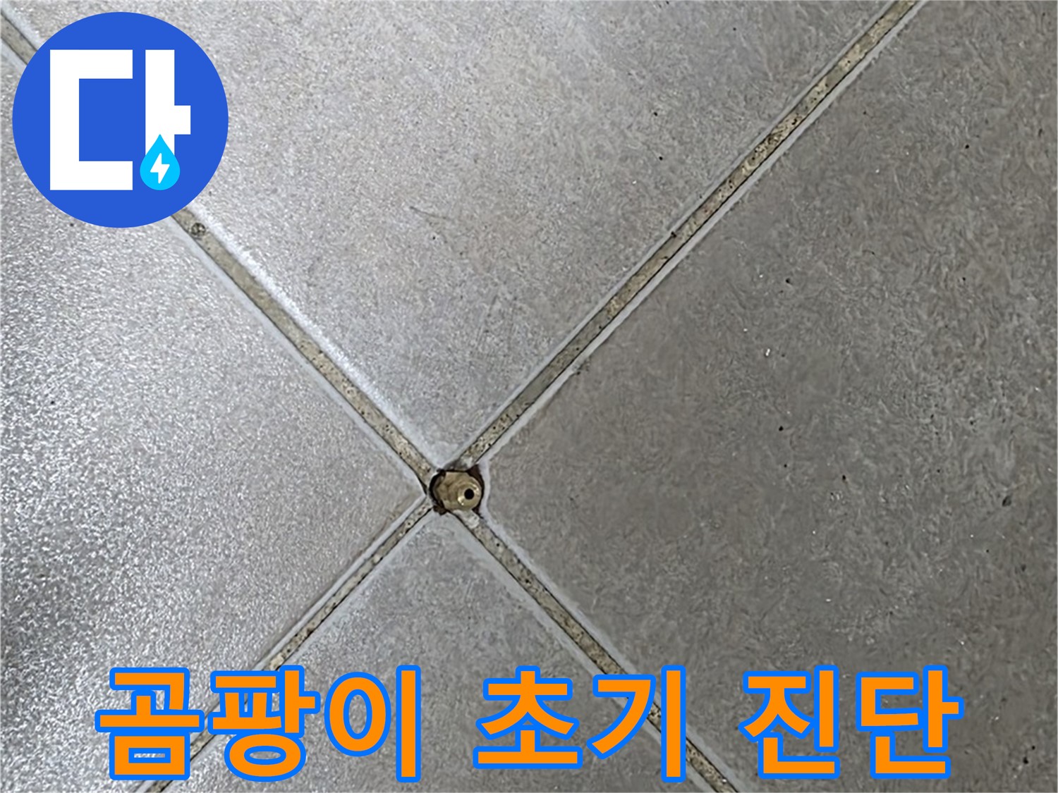 양주 옥정 율정마을 13단지 아파트 타일 틈새 곰팡이 - 초기 누수 진단 과정입니다.