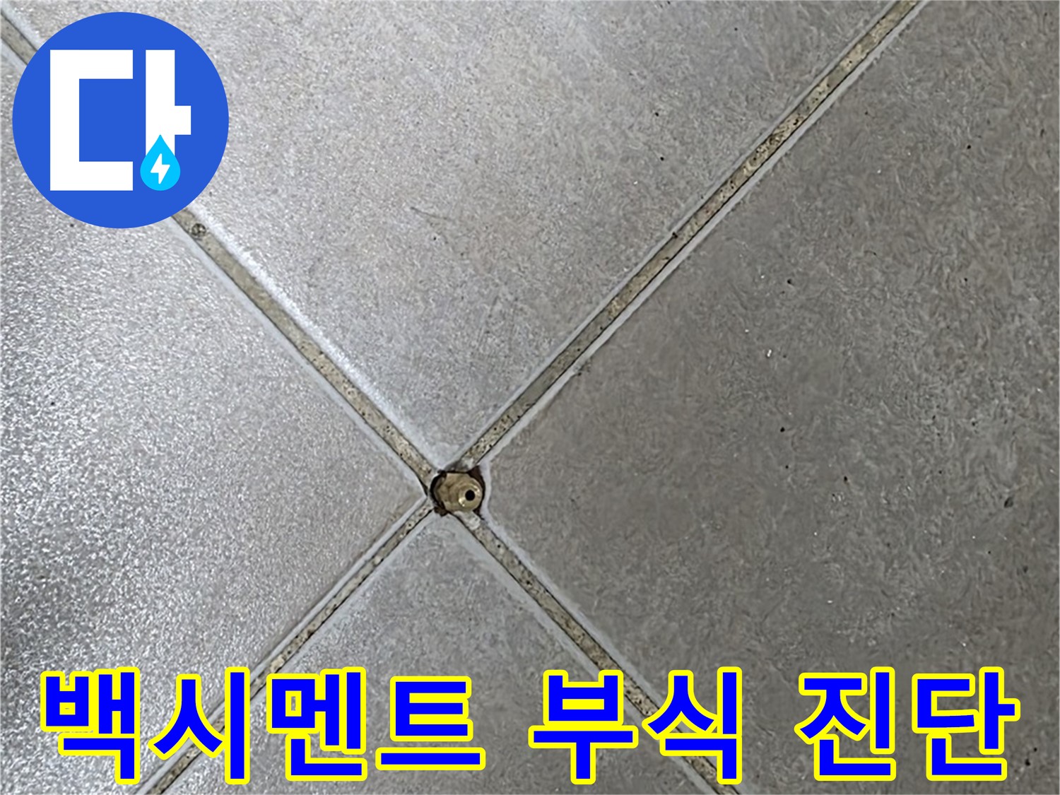 양주 옥정 율정마을 13단지 아파트 타일 틈새 백시멘트 부식 - 누수 가능성 진단 중입니다.