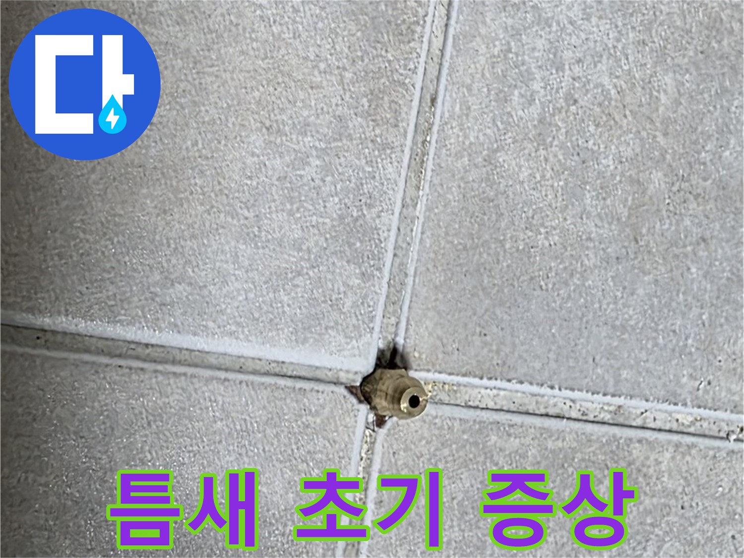 양주 옥정 율정마을 아파트 누수 - 욕실 타일 틈새, 설마 누수 초기 증상일 수도 있다?!