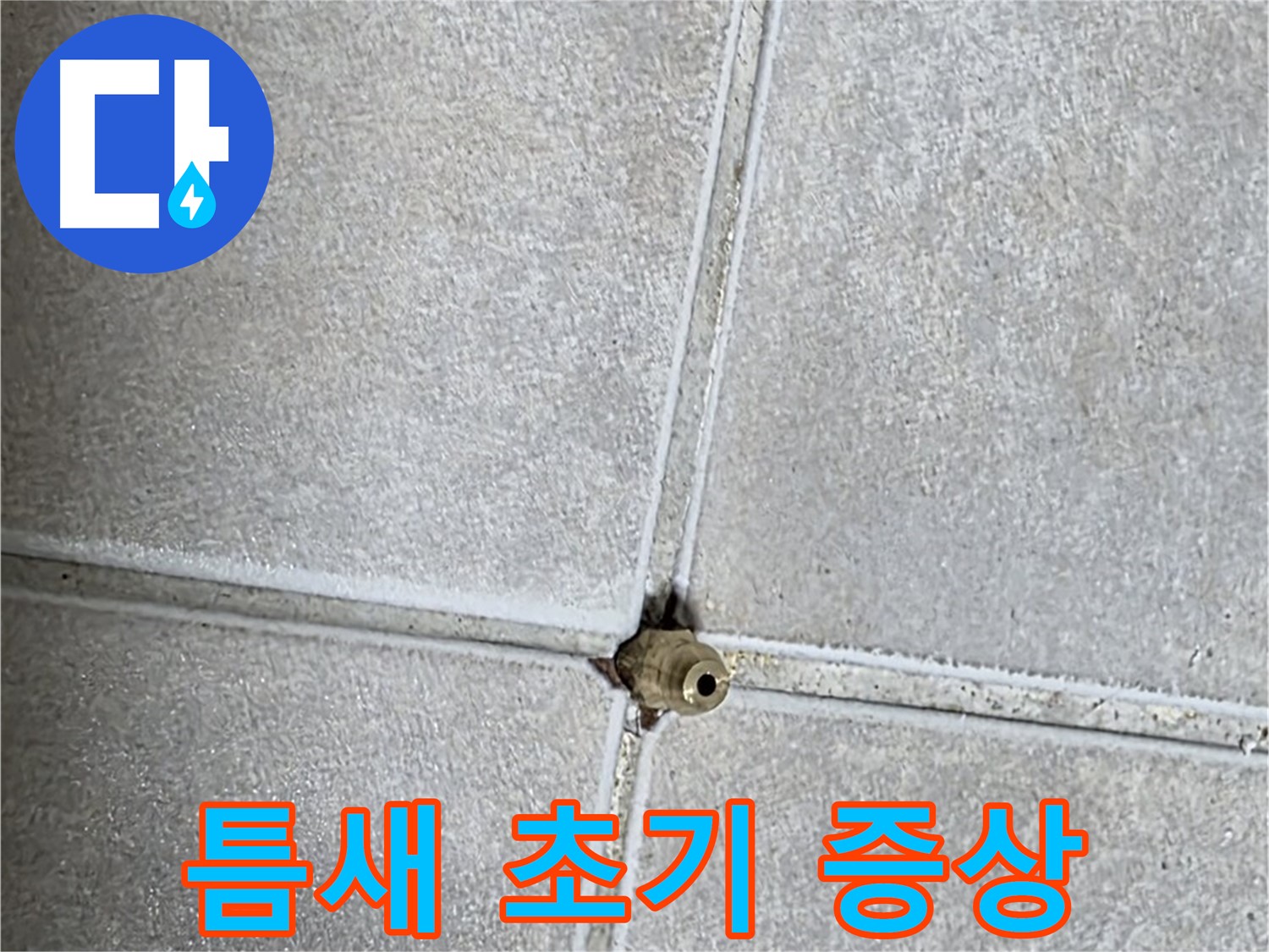 양주 옥정 율정마을 아파트 누수 - 욕실 타일 틈새, 설마 누수 초기 증상일 수도 있다?!