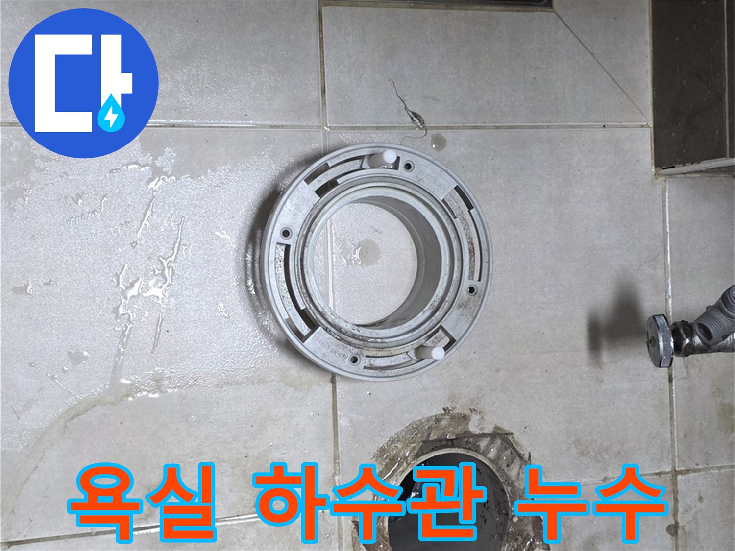 양주 옥정 율정마을 아파트 욕실 하수관 누수 - 누수 문제 해결 전문가의 완벽 차단