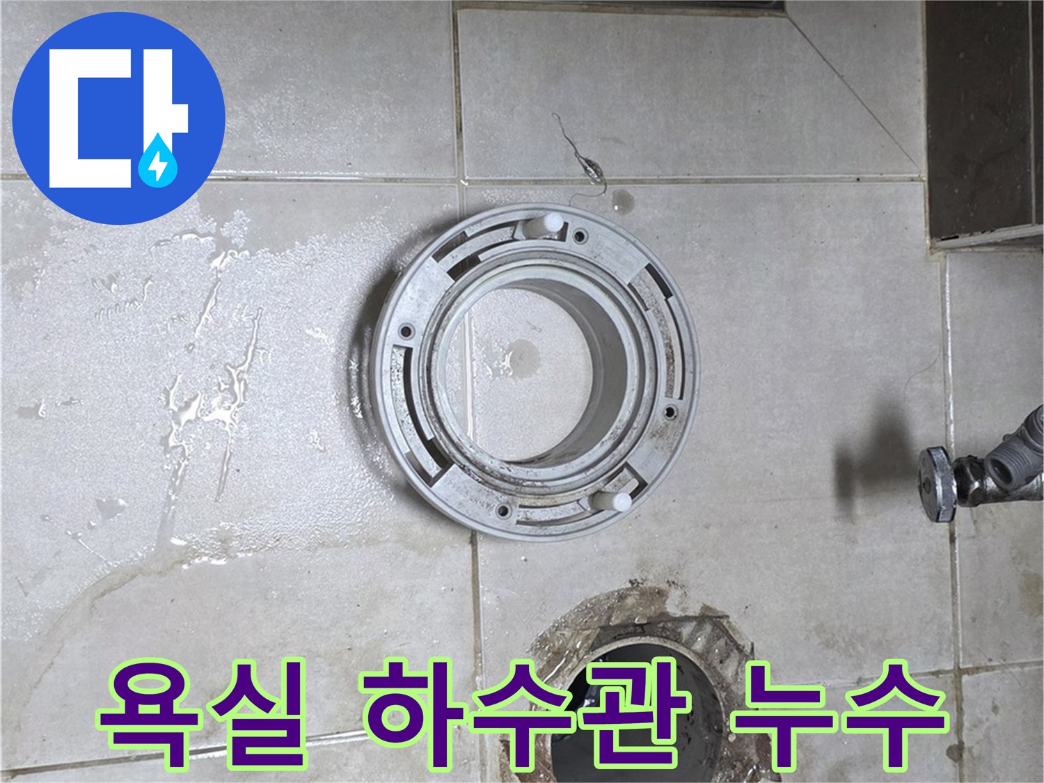 양주 옥정 율정마을 아파트 욕실 하수관 누수 지점 - 누수 전문가의 정확한 진단