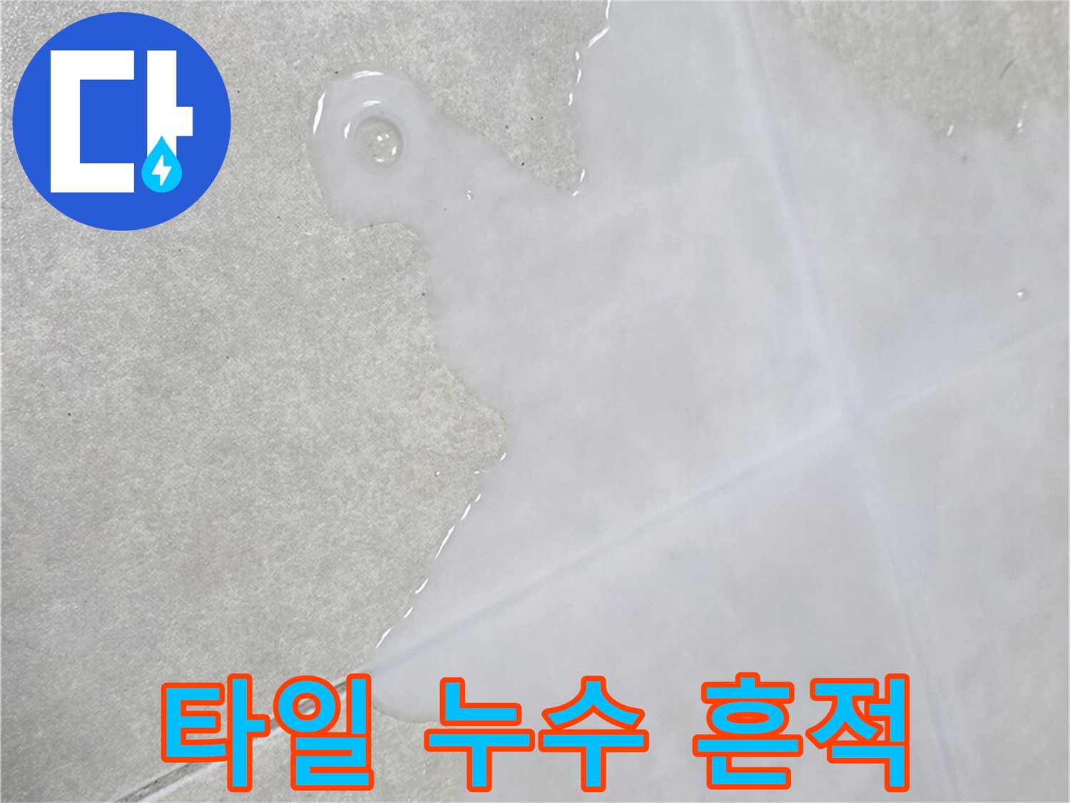 양주 옥정 율정마을 아파트 타일 누수 흔적 - 전문 장비로 정확한 누수 지점 탐지