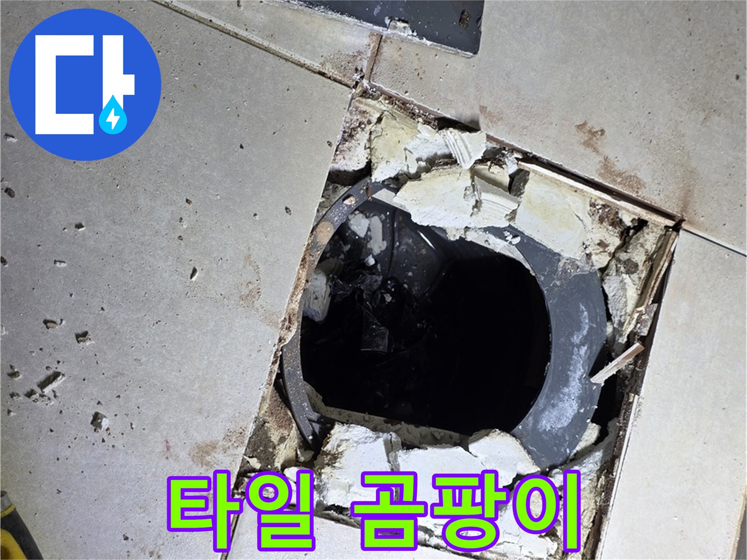 양주 옥정동 욕실 누수 - 율정마을13단지 배수구 주변 깨진 타일 조각과 곰팡이의 향연