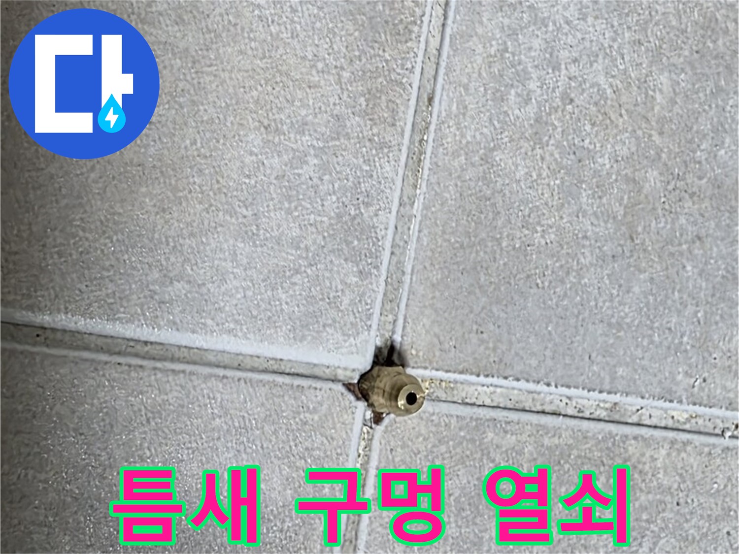 양주 옥정동 율정마을 아파트 누수 - 타일 틈새 구멍이 누수 해결의 열쇠가 될 수 있을까요?