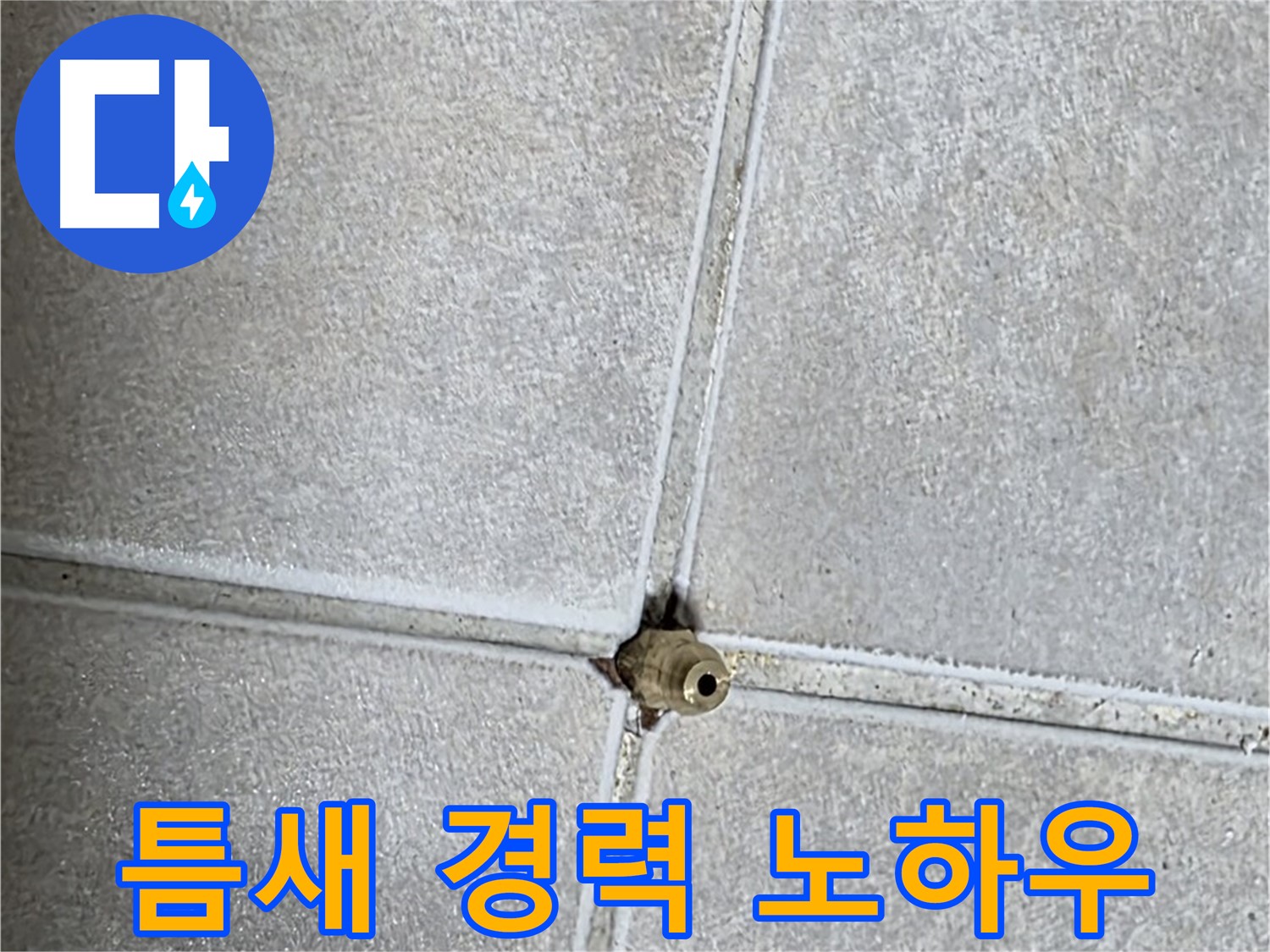 양주 옥정동 율정마을 아파트 누수 - 타일 틈새 누수, 20년 경력 베테랑의 노하우를 공개합니다!