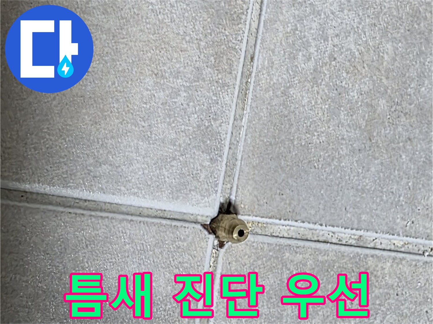 양주 옥정동 율정마을 아파트 누수 - 타일 틈새 누수, 간단한 보수 전에 전문적인 진단이 먼저입니다!