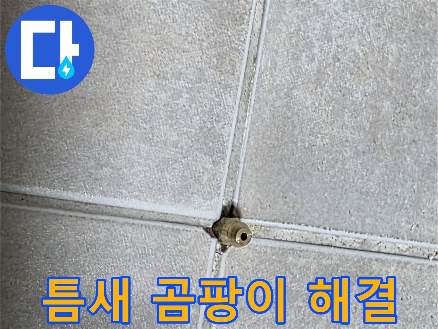 양주 옥정동 율정마을 아파트 누수 - 타일 틈새 누수, 완벽하게 차단하고 곰팡이 걱정 없이 쾌적한 욕실을 만들어 드립니다!