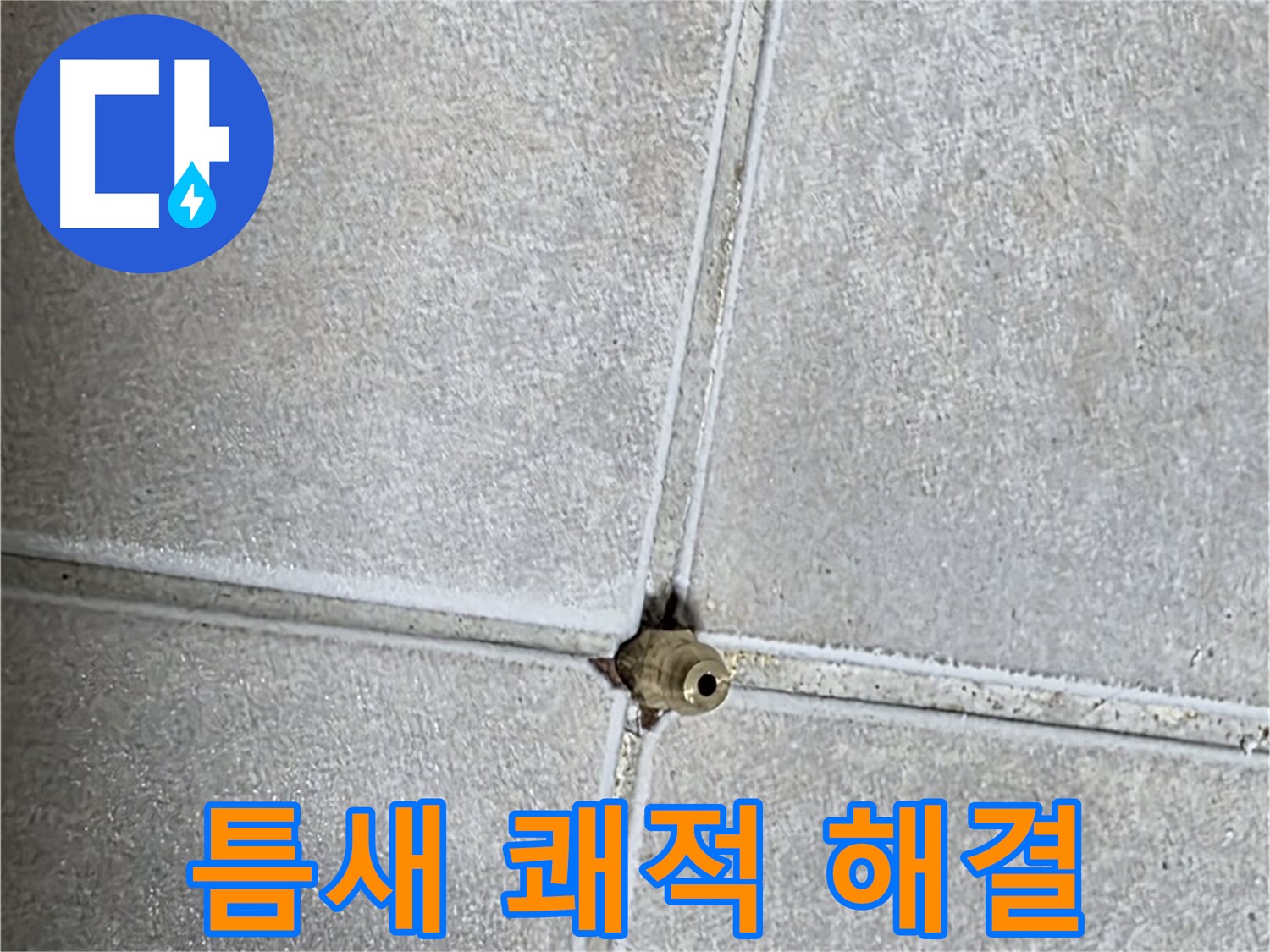 양주 옥정동 율정마을 아파트 누수 - 타일 틈새 누수, 완벽하게 해결하고 쾌적한 욕실을 되찾으세요!