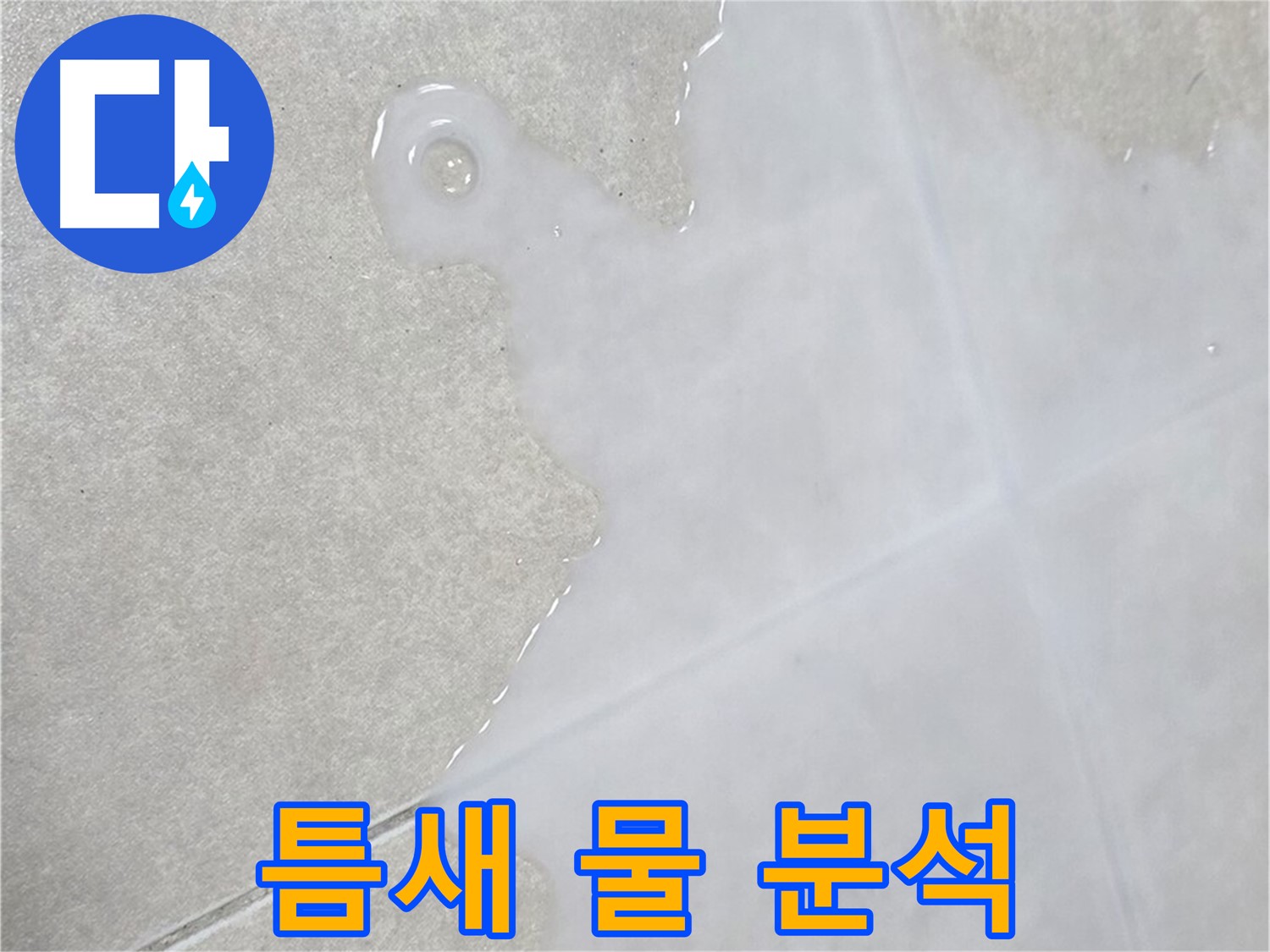 양주 옥정동 율정마을 아파트 욕실 타일 틈새 물 - 누수 원인 정밀 분석