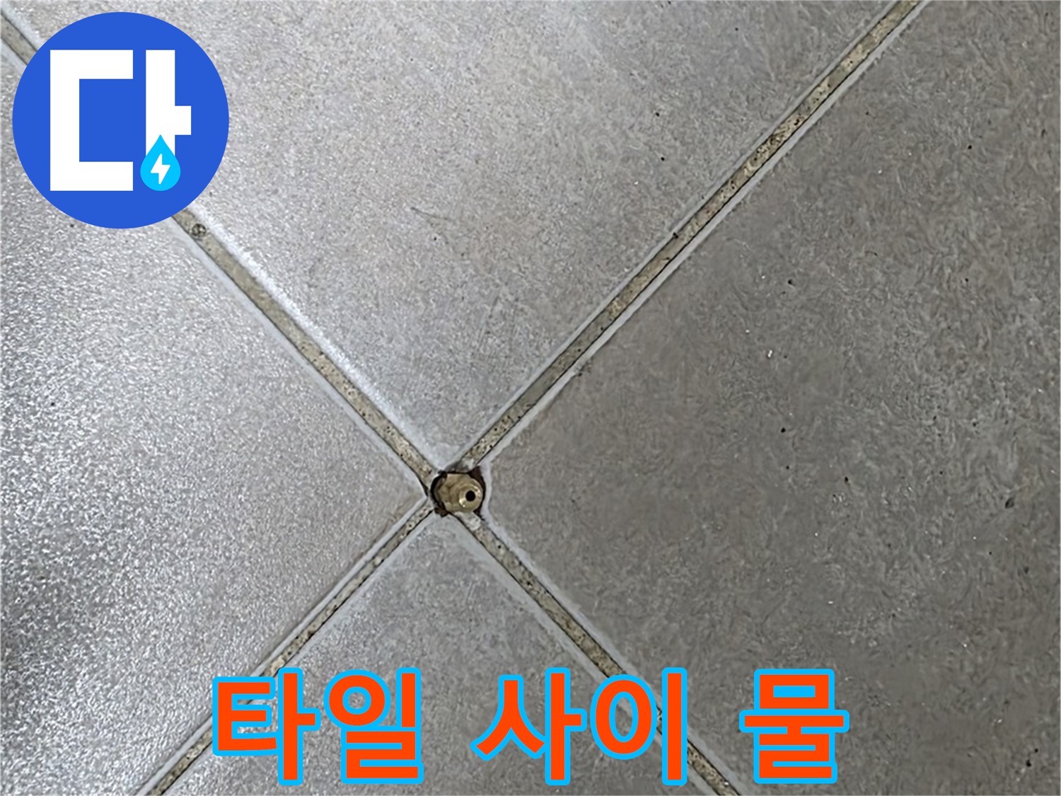 양주 율정마을 아파트 타일 사이 물 - 누수 의심 시 누수탐지 전문가에게 문의하세요.