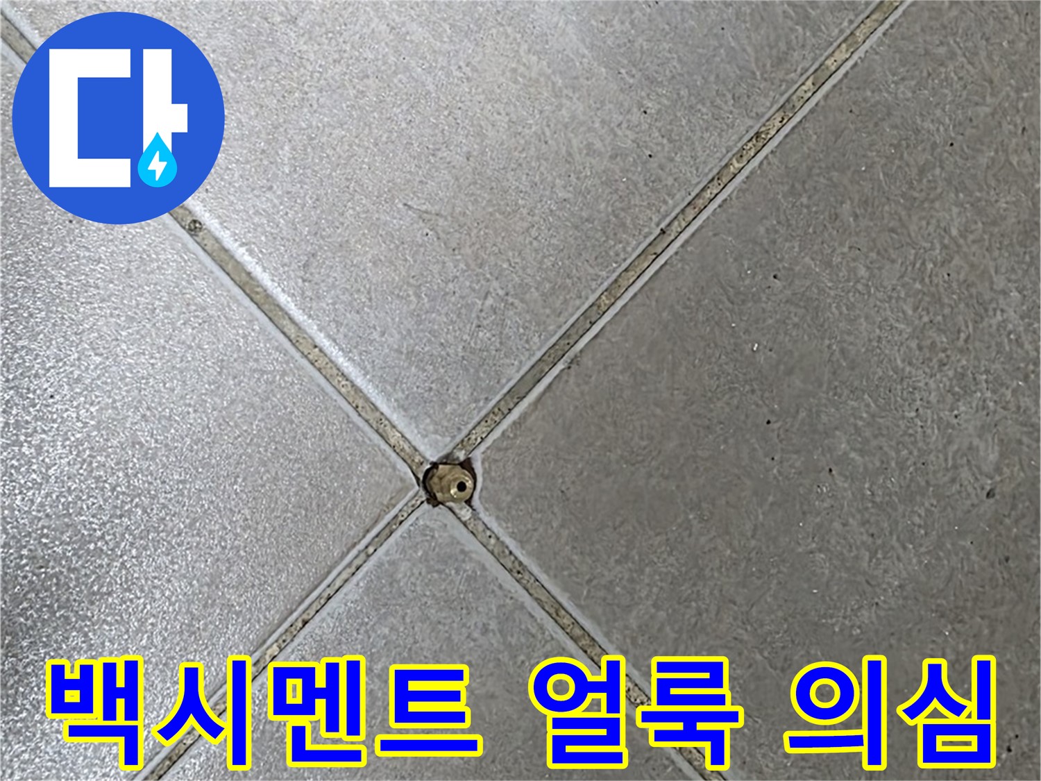 양주 율정마을 아파트 타일 틈새 백시멘트 얼룩 - 누수 의심 상황입니다.