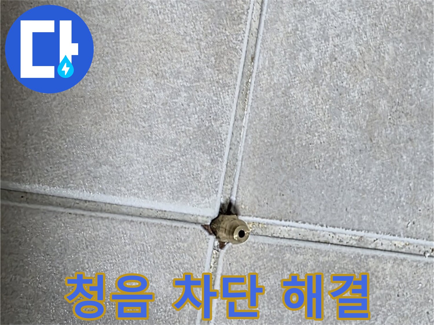 옥정 율정마을 아파트 누수 - 청음 탐지로 찾아낸 숨은 누수를 완벽하게 차단하여 해결했습니다!