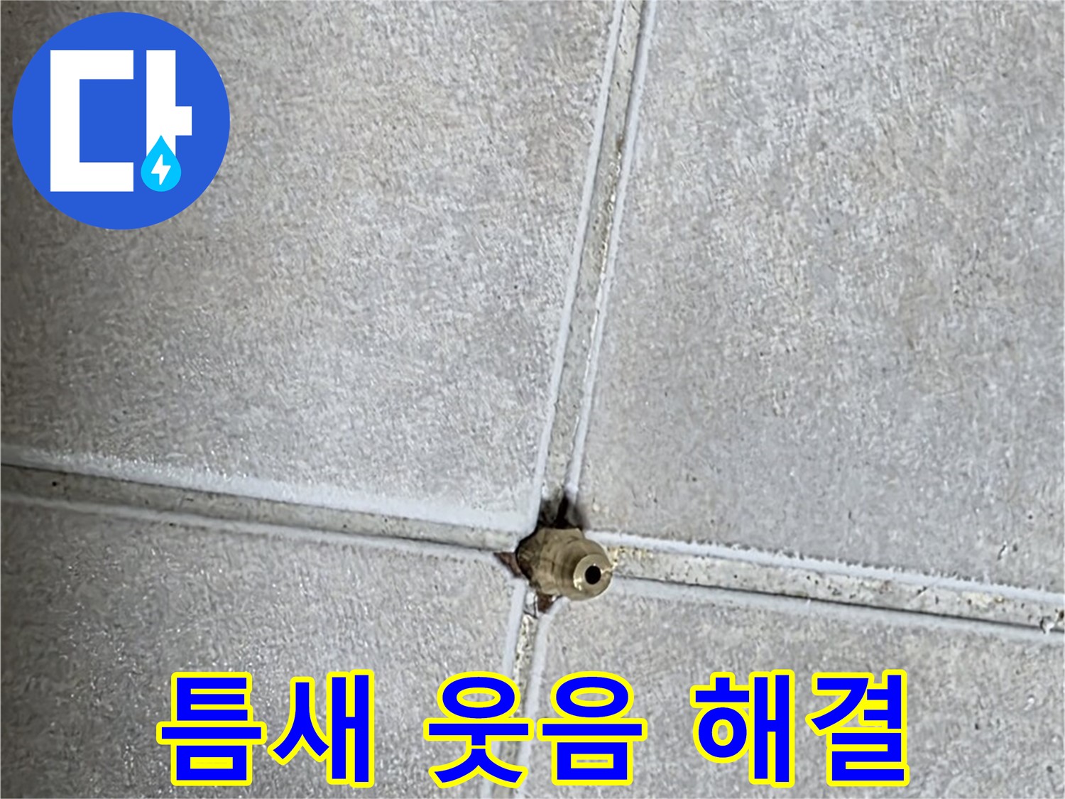 옥정 율정마을 아파트 누수 - 타일 틈새 누수 해결, 고객님의 얼굴에 웃음꽃이 활짝 피었습니다!