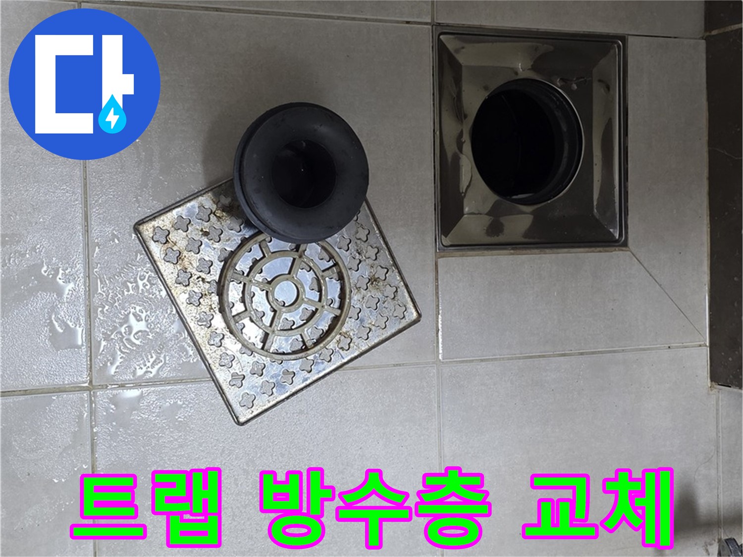 옥정 율정마을 아파트 - 욕실 배수구 누수, 낡은 트랩과 손상된 방수층 교체