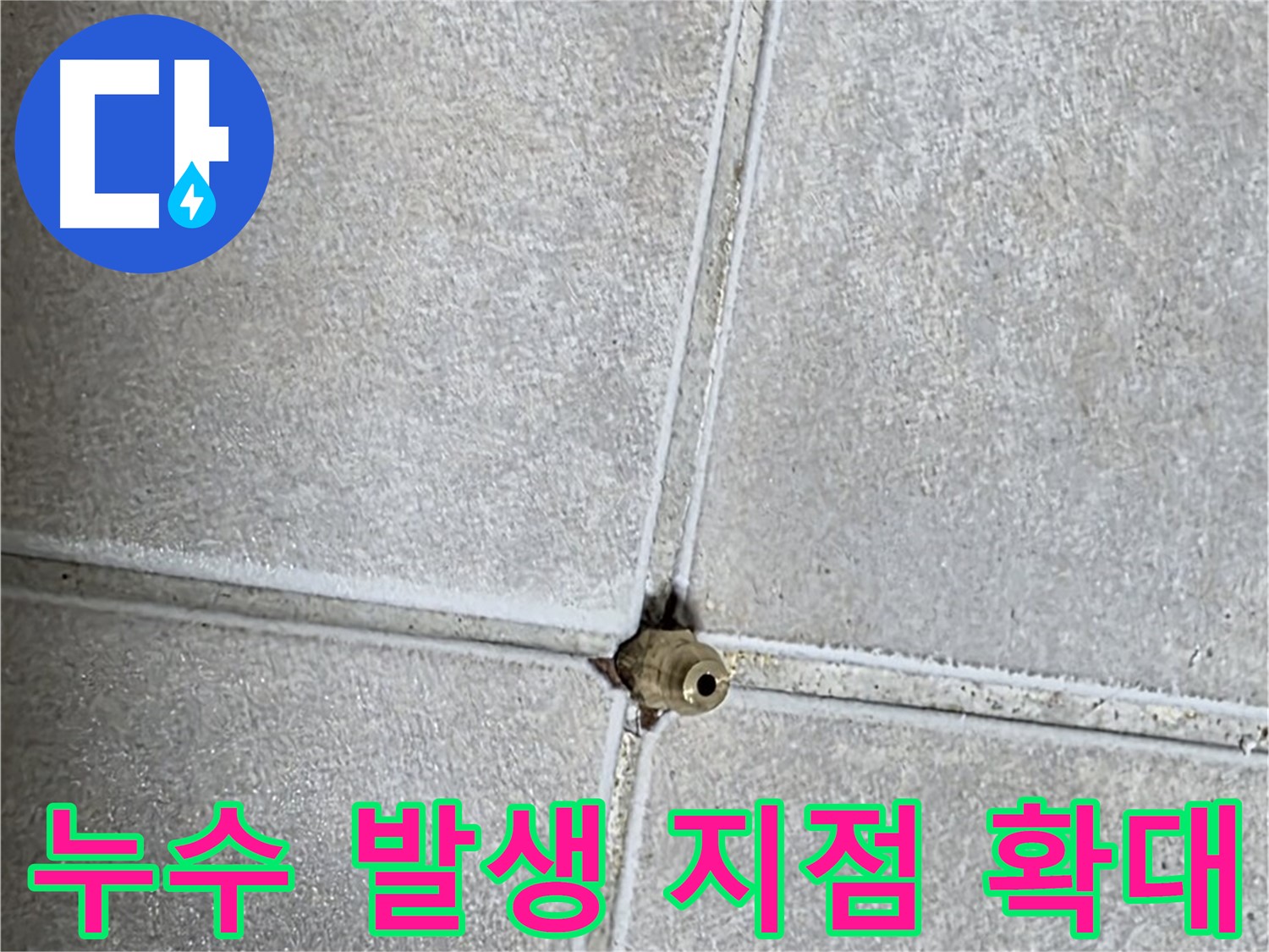 옥정 율정마을 아파트에서 발생한 타일 틈새 누수 지점 확대 사진 - 작은 틈새도 놓치지 않고 꼼꼼하게 확인합니다.