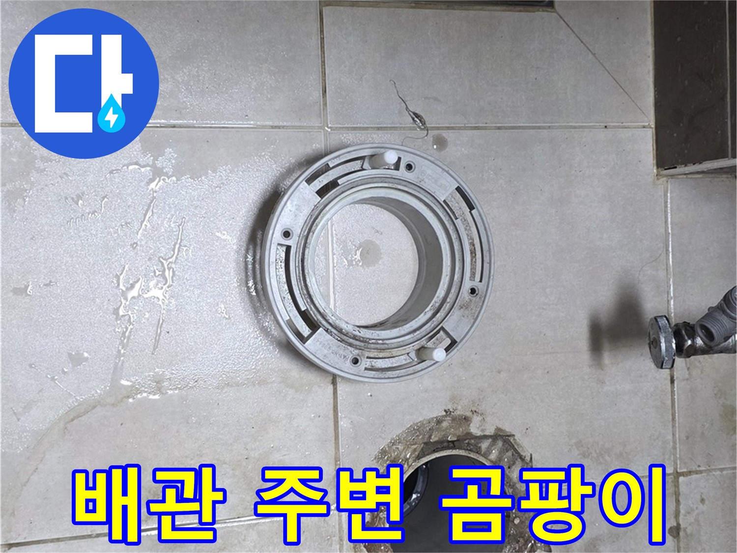 옥정동 율정마을 아파트 변기 누수 - 배관 주변 곰팡이 상태 확인