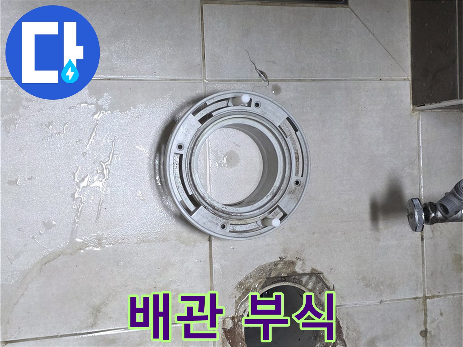 옥정동 율정마을 아파트 변기 하수구 누수 - 오래된 배관 부식 상태 확인