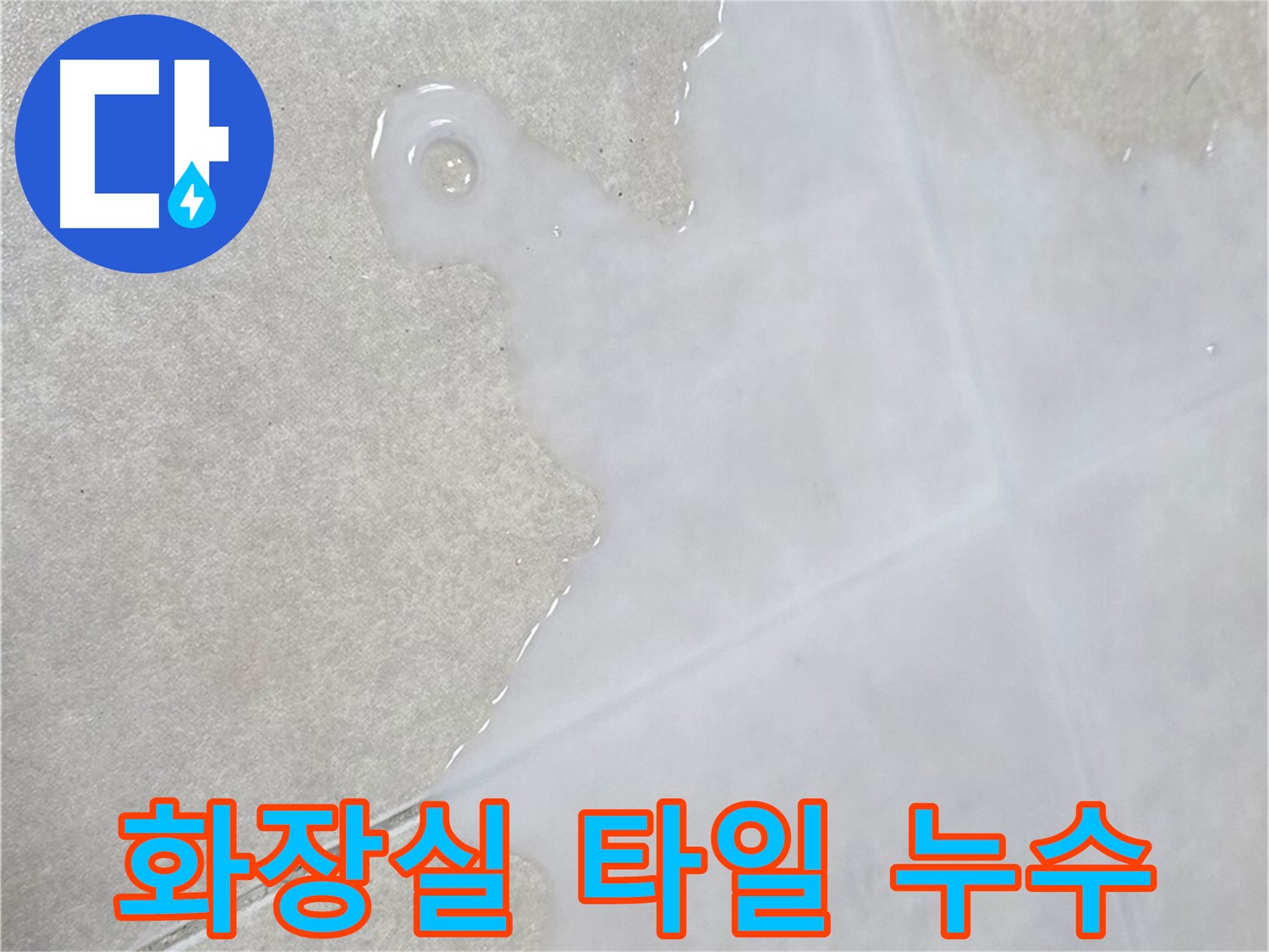 옥정동 율정마을 아파트 화장실 타일 누수 발생 - 전문 장비로 누수 지점 정확히 탐지