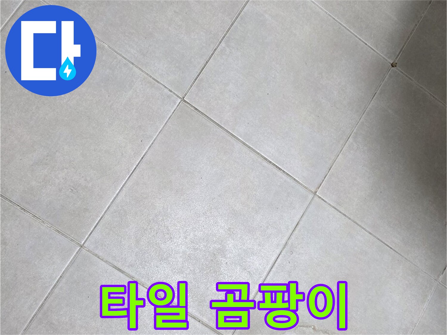 욕실 바닥 타일 곰팡이 - 습기와 누수 복합적 문제