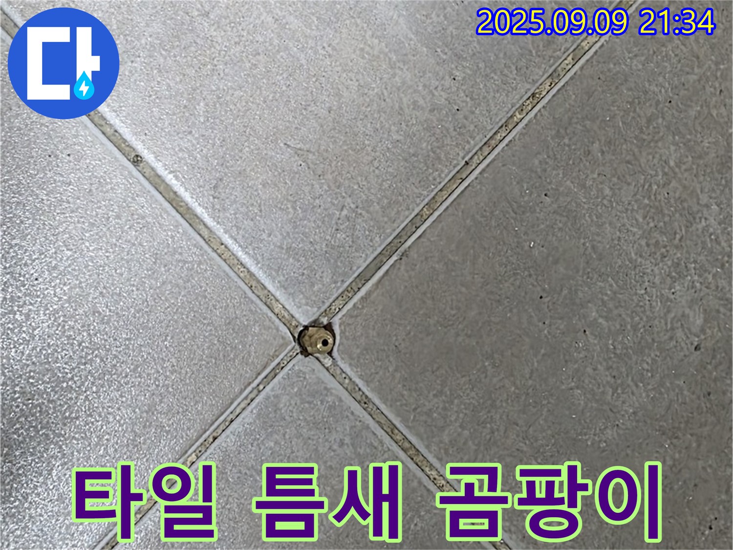 타일 틈새 곰팡이 - 습기와 누수의 증거
