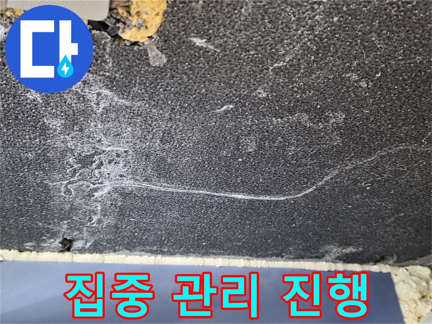 동패동 곰팡이 누수 - 운정어반프라임 곰팡이 얼룩 발생 부위 집중 관리