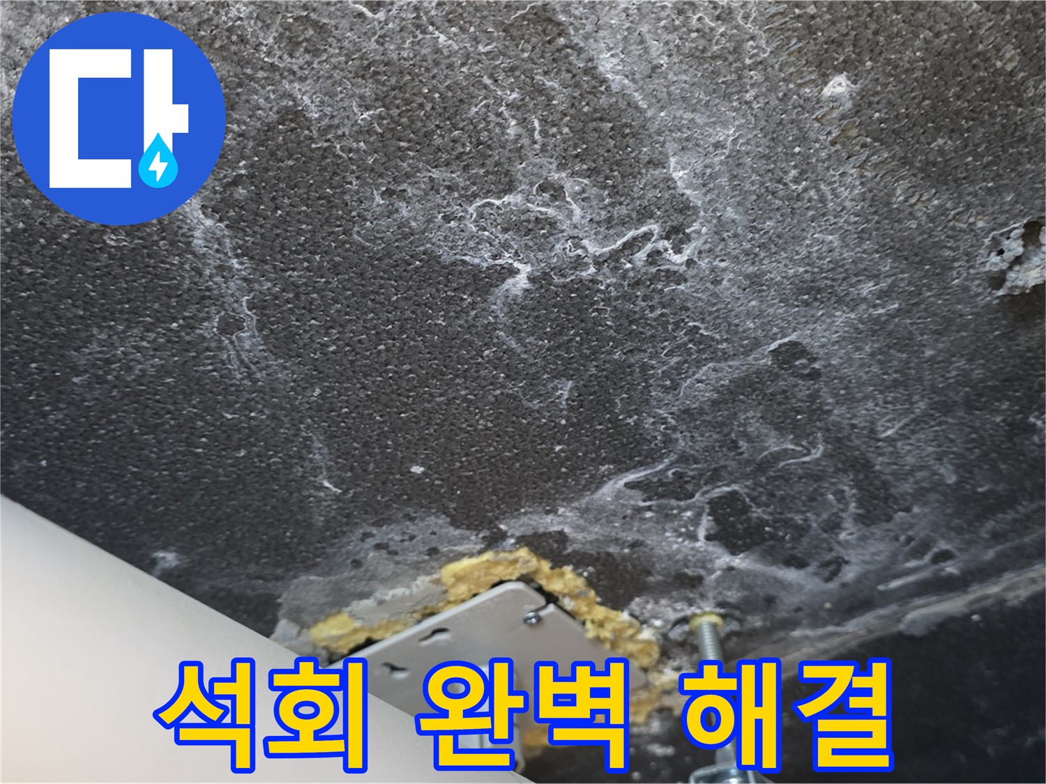 동패동 아파트 누수 - 천장 누수 석회 문제 완벽 해결 완료
