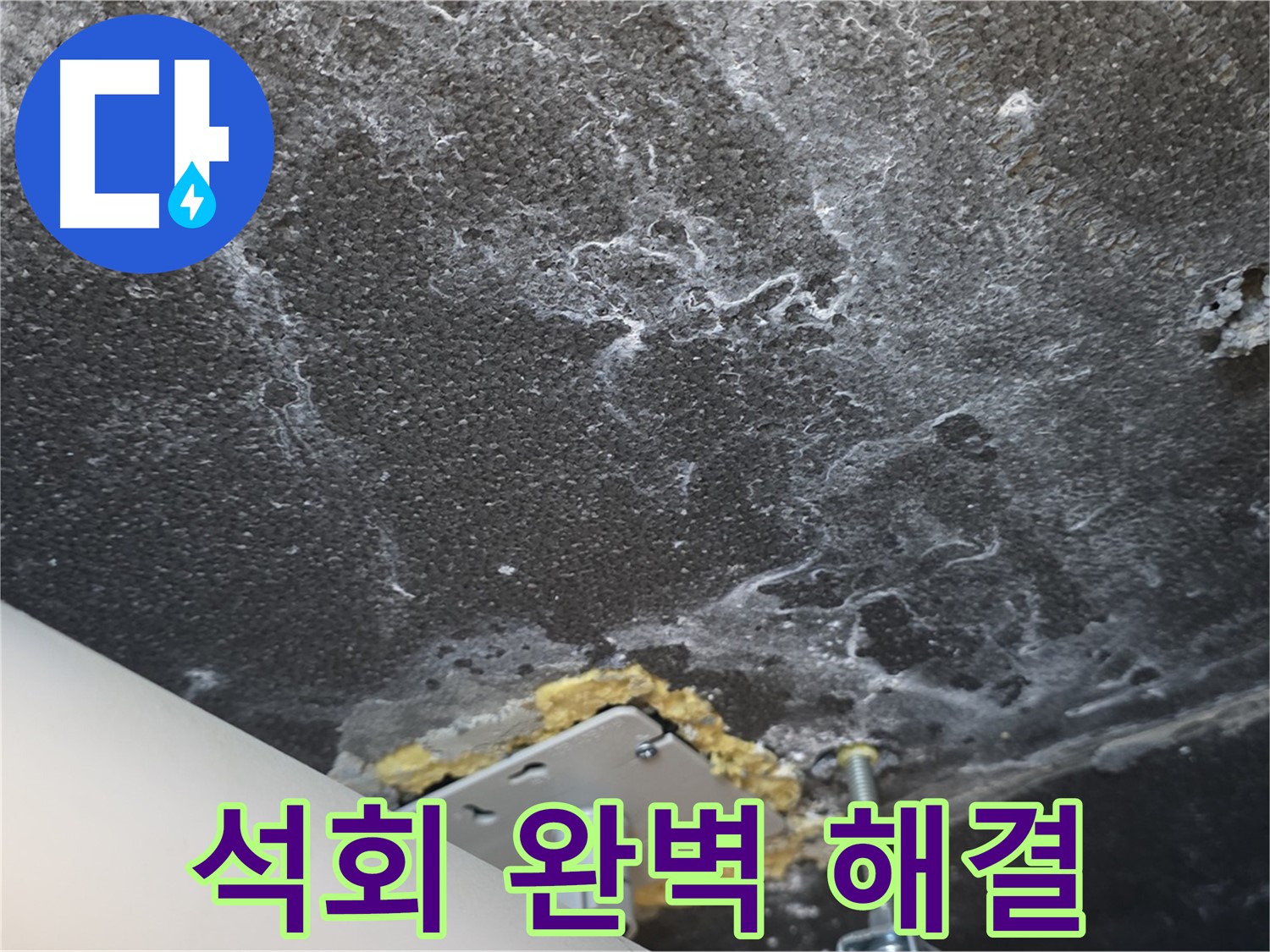 동패동 아파트 누수 - 천장 누수 석회 문제 완벽 해결 완료