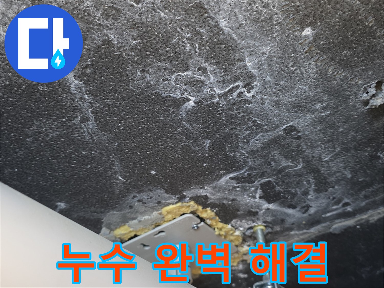 동패동 아파트 천장 누수 - 누수 문제 완벽 해결 완료