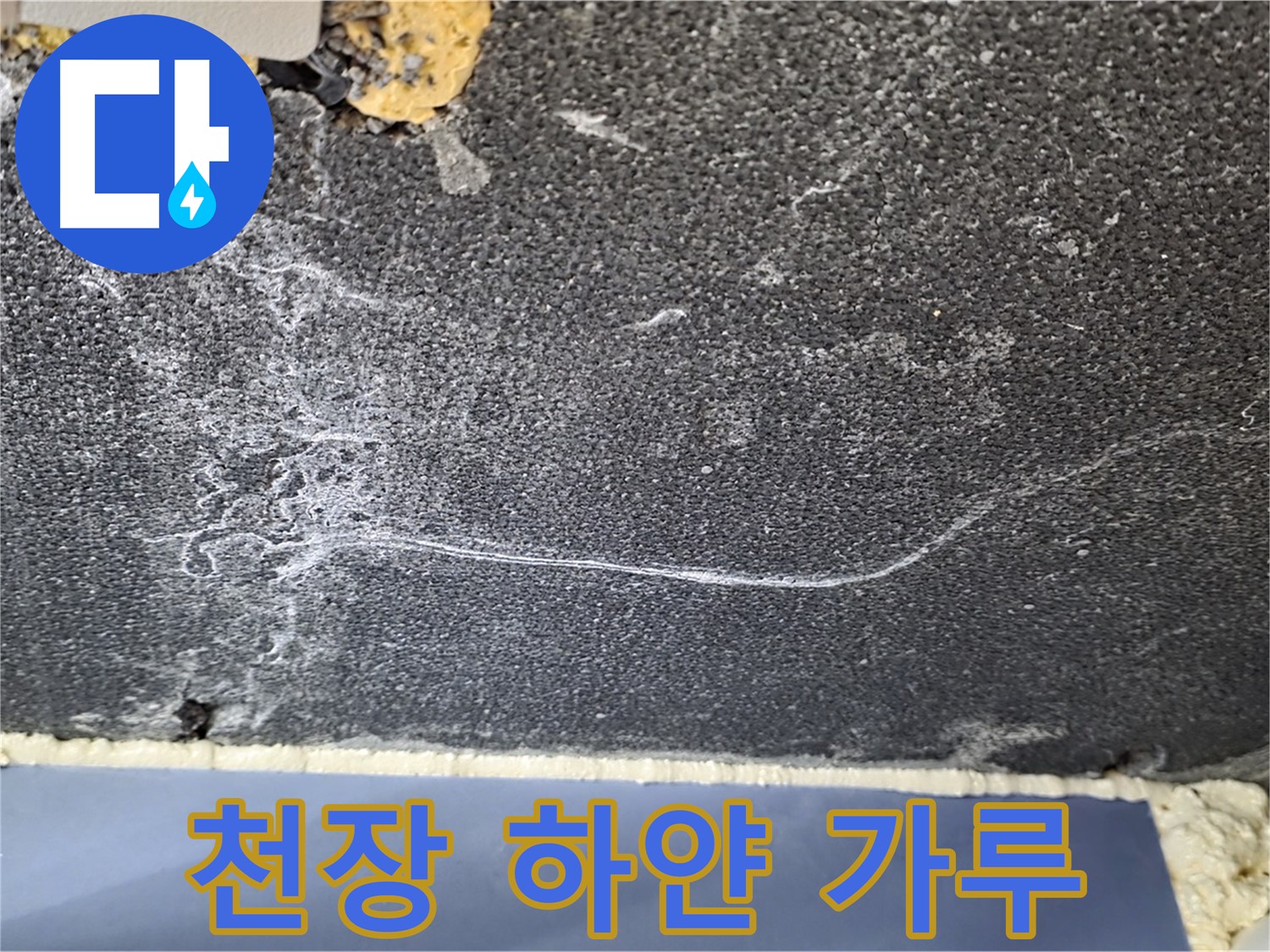 운정 아파트 천장 누수 - 하얀 가루 (백화 현상) 확인, 누수 진단