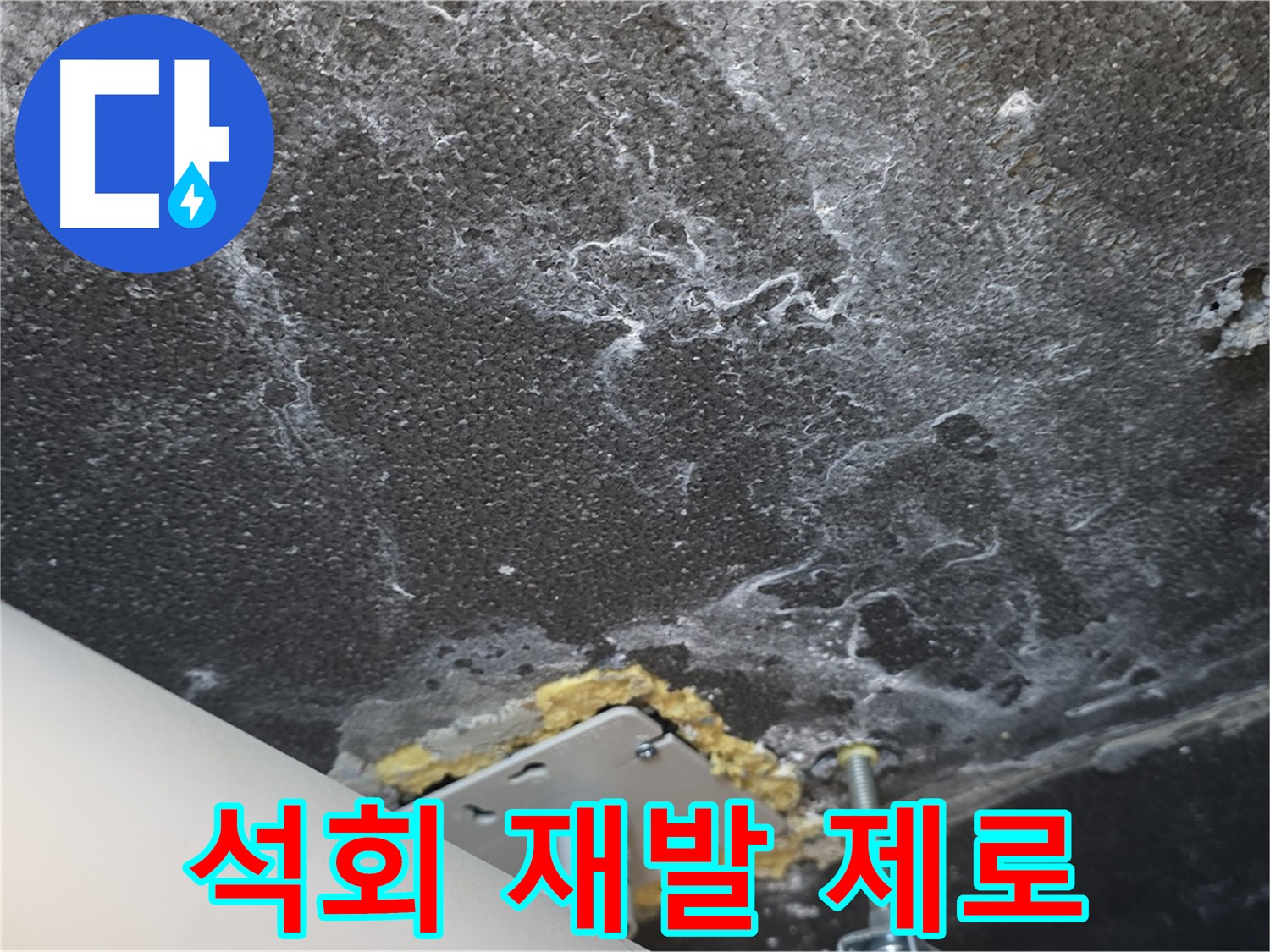 운정 어반프라임 누수 - 천장 석회 재발 제로 솔루션 시공