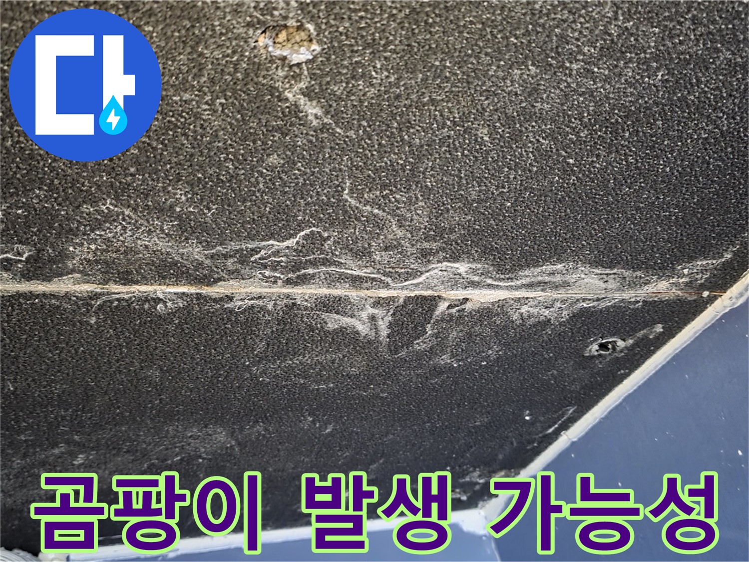 운정어반프라임 곰팡이 - 누수 흔적 곰팡이 발생 가능성 높음