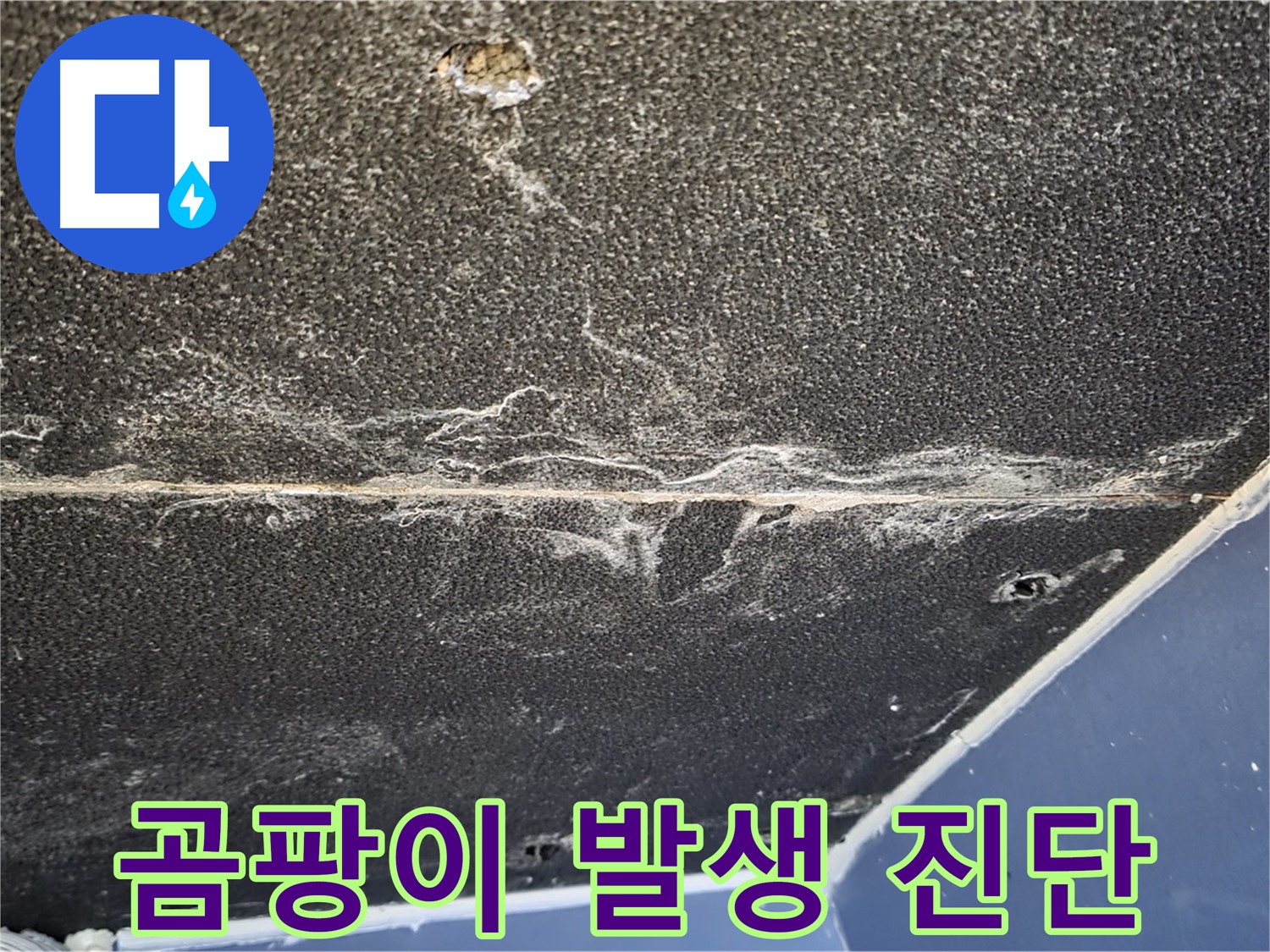 운정어반프라임 곰팡이 발생 가능성 - 누수 환경에서의 곰팡이 위험