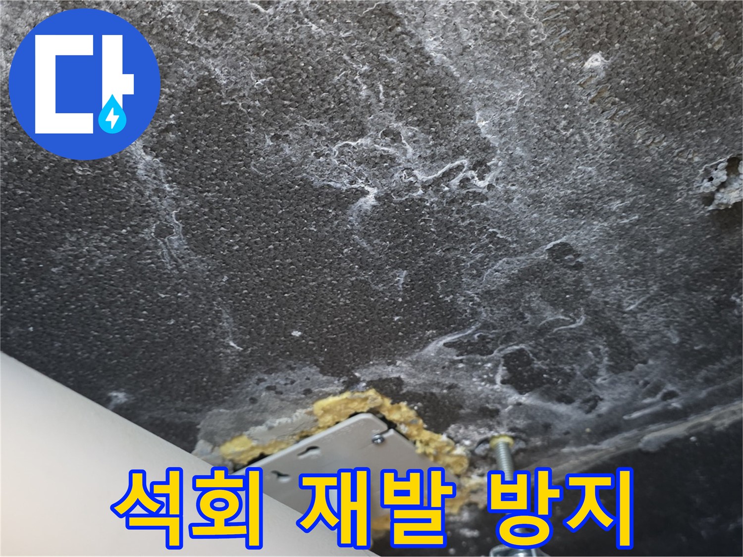 운정어반프라임 누수 - 천장 석회 누수 완벽 재발 방지 솔루션
