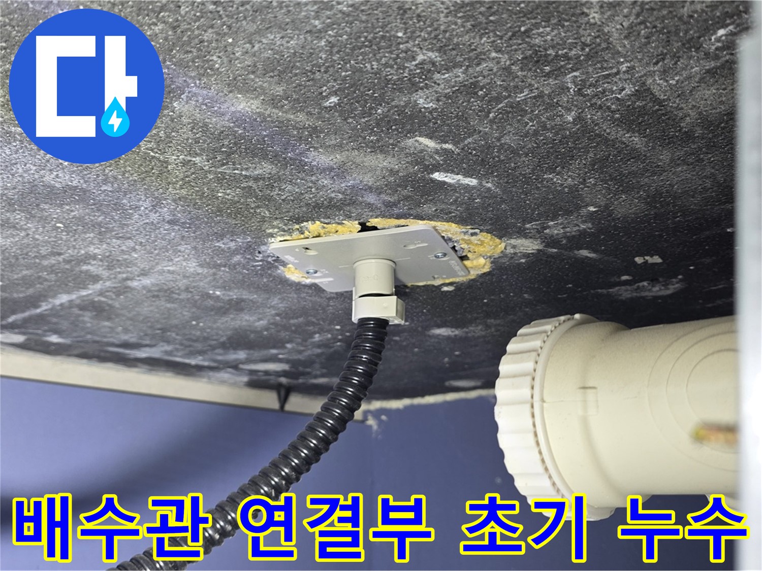 운정어반프라임 세탁실 누수 - 배수관 연결부에서 누수 의심 지점을 초기 확인하는 모습