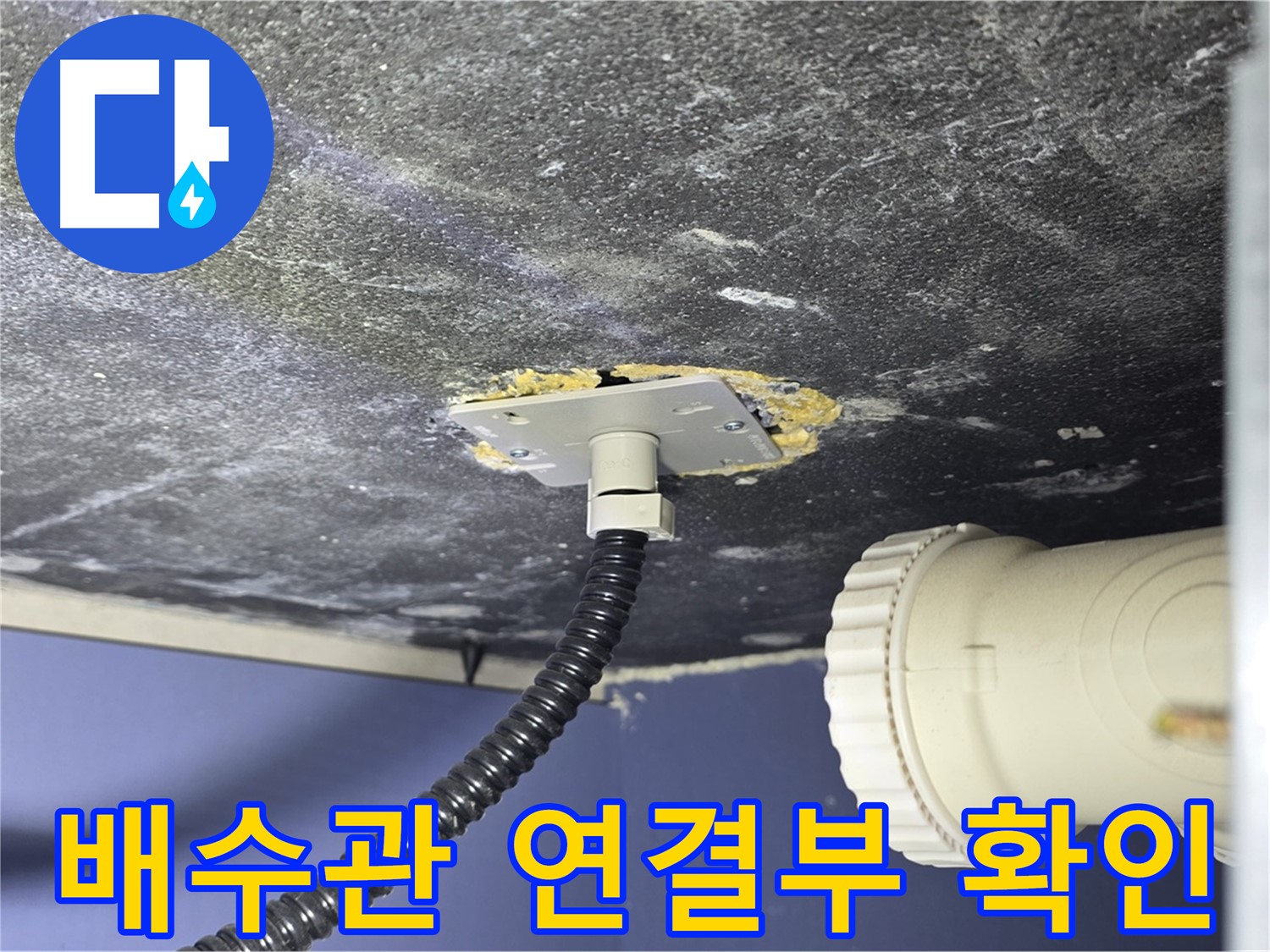 운정어반프라임 싱크대 배수관 연결부 누수 - 누수 지점을 확인하고 보수 계획을 세우는 모습