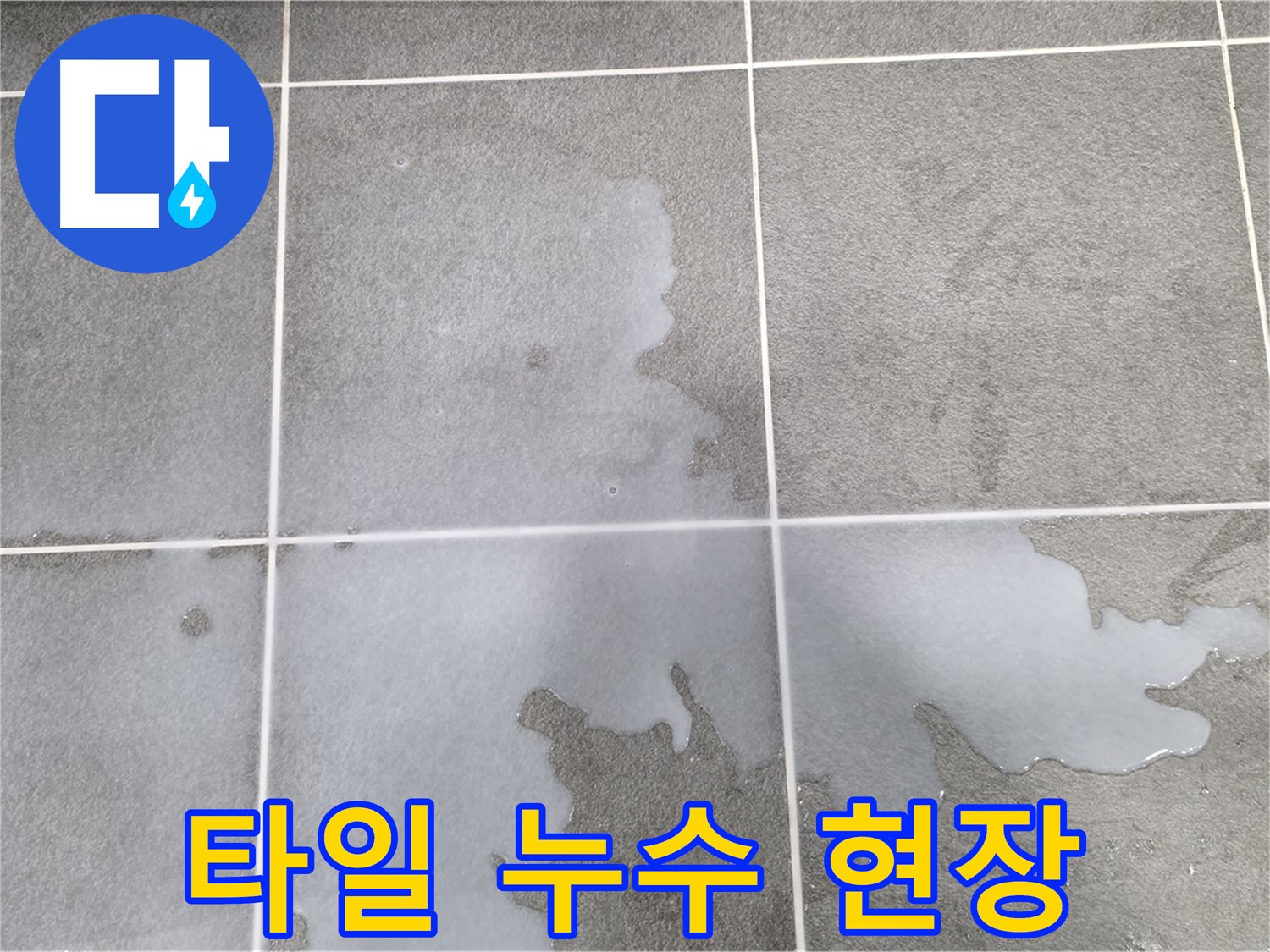 운정어반프라임 아파트 타일 누수 현장 - 누수 원인 분석 및 해결 과정
