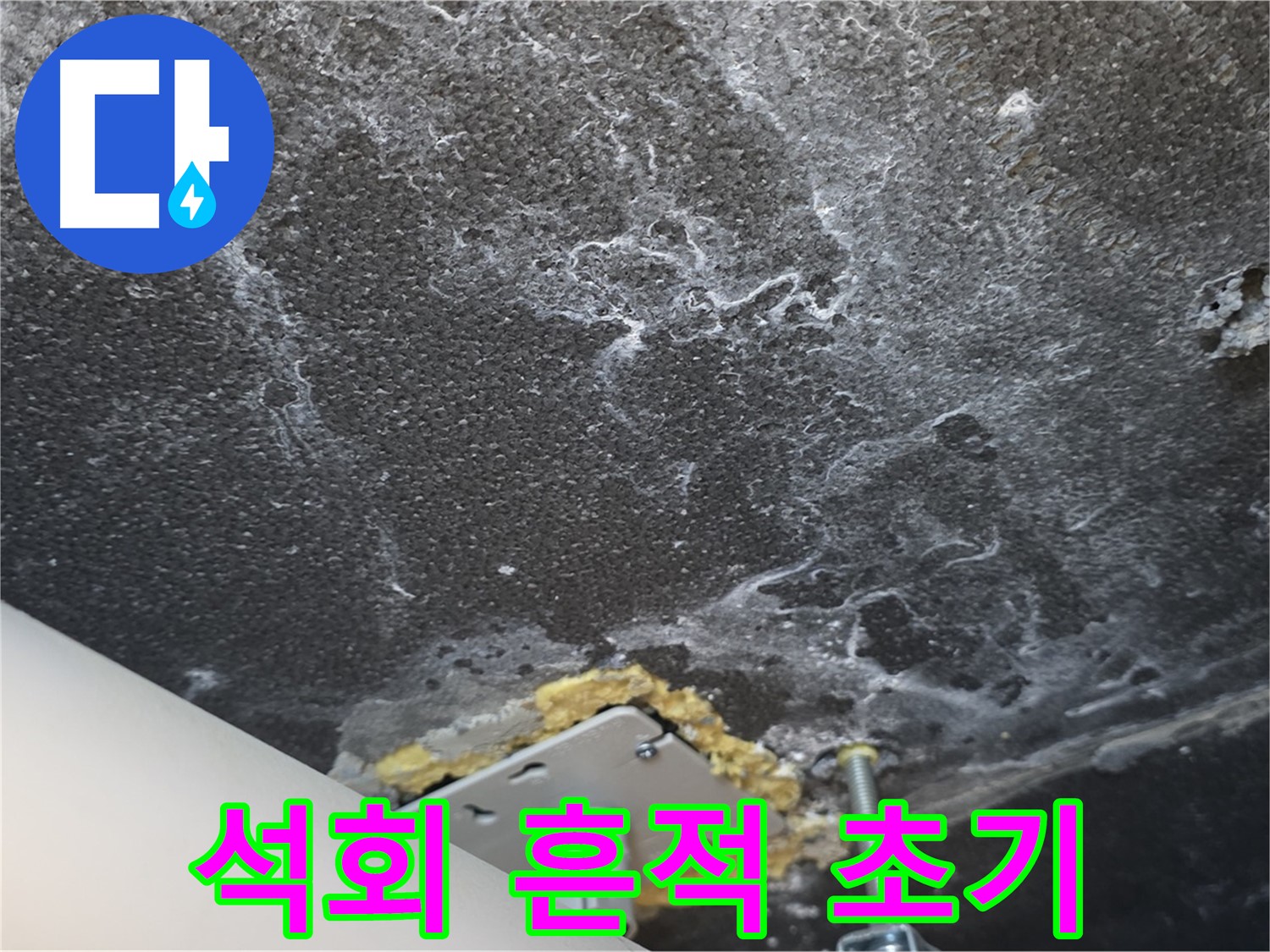 운정어반프라임 천장 누수 - 석회 흔적 초기 발견 및 진단 진행